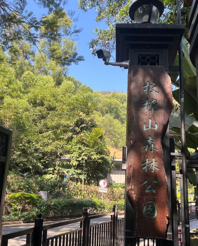 板樟山森林公园