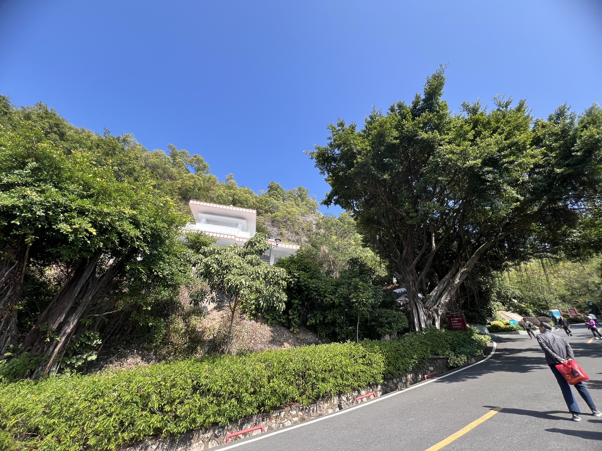 板樟山森林公园旅行图片 1