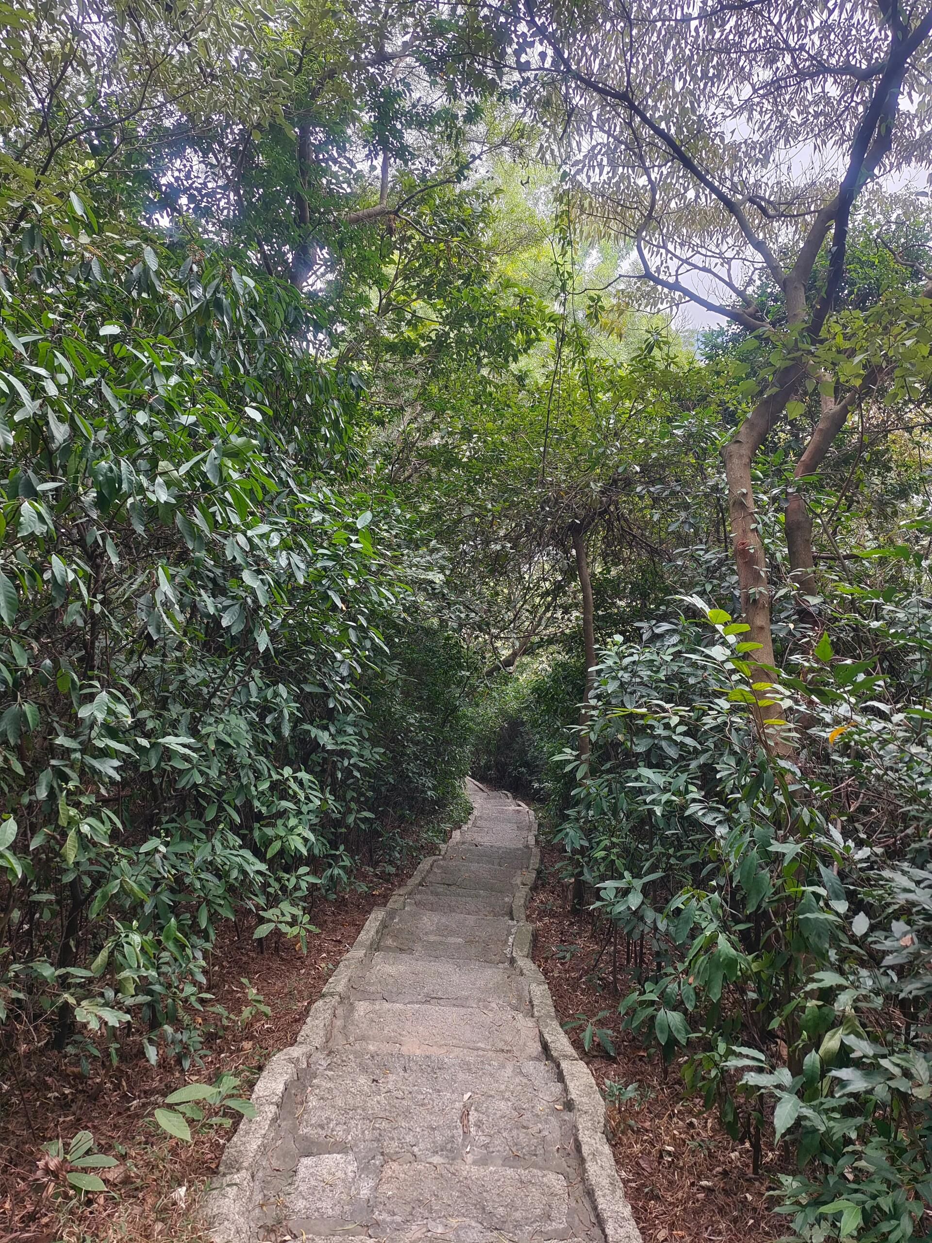 香山公园旅行图片 2