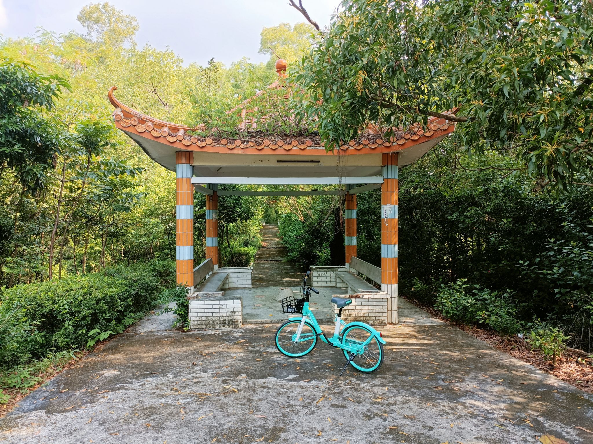 东坑公园旅行图片 2