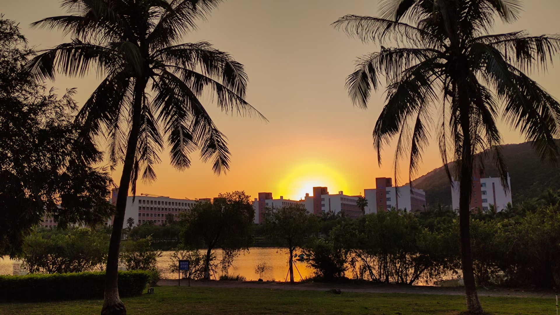 珠海科技学院