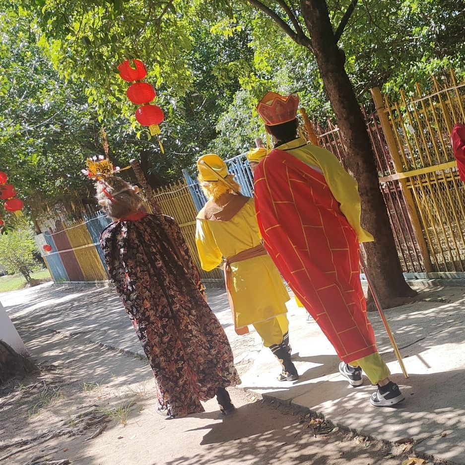 鳄鱼岛旅行图片 3