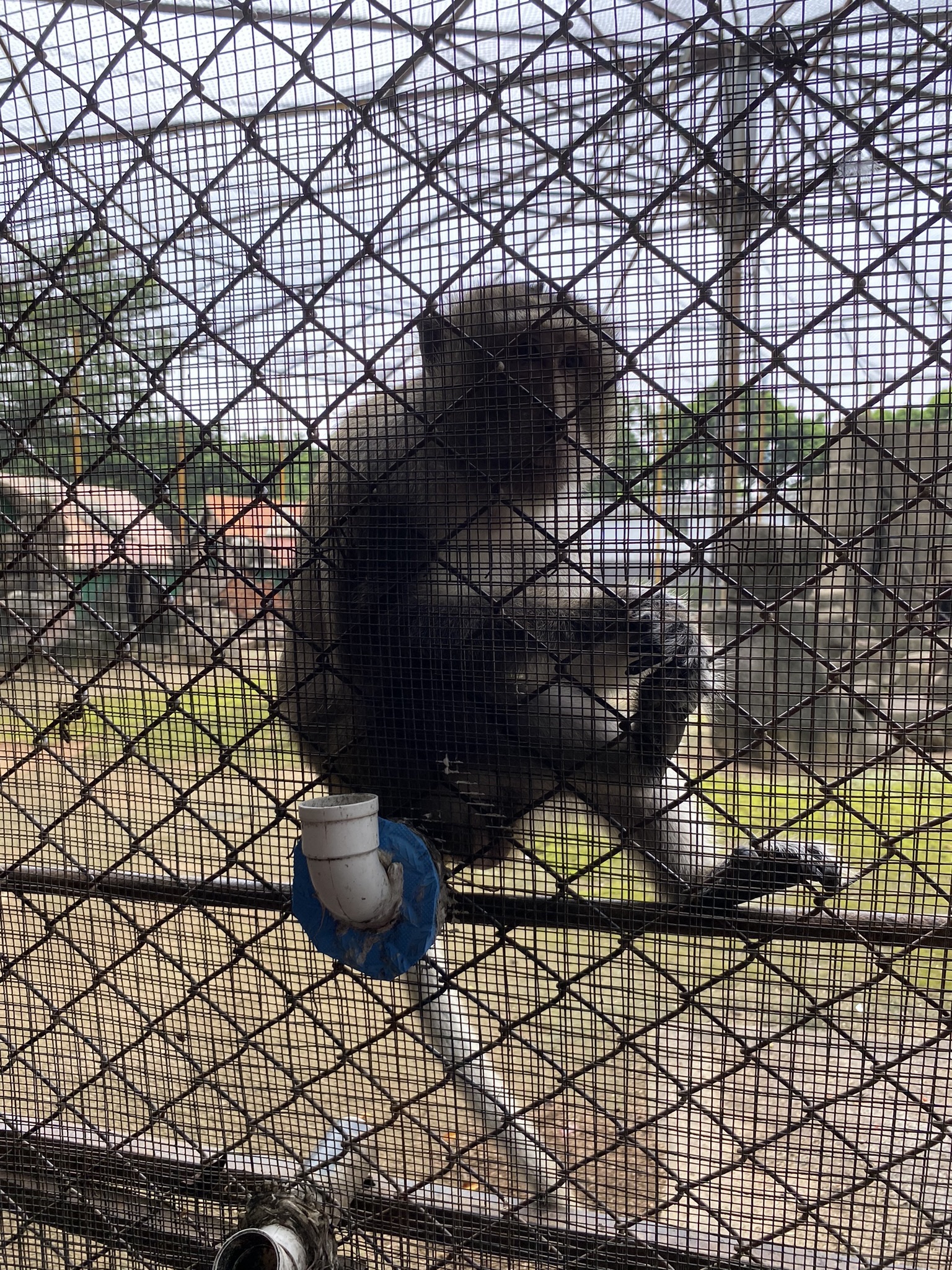 鳄鱼岛旅行图片 2
