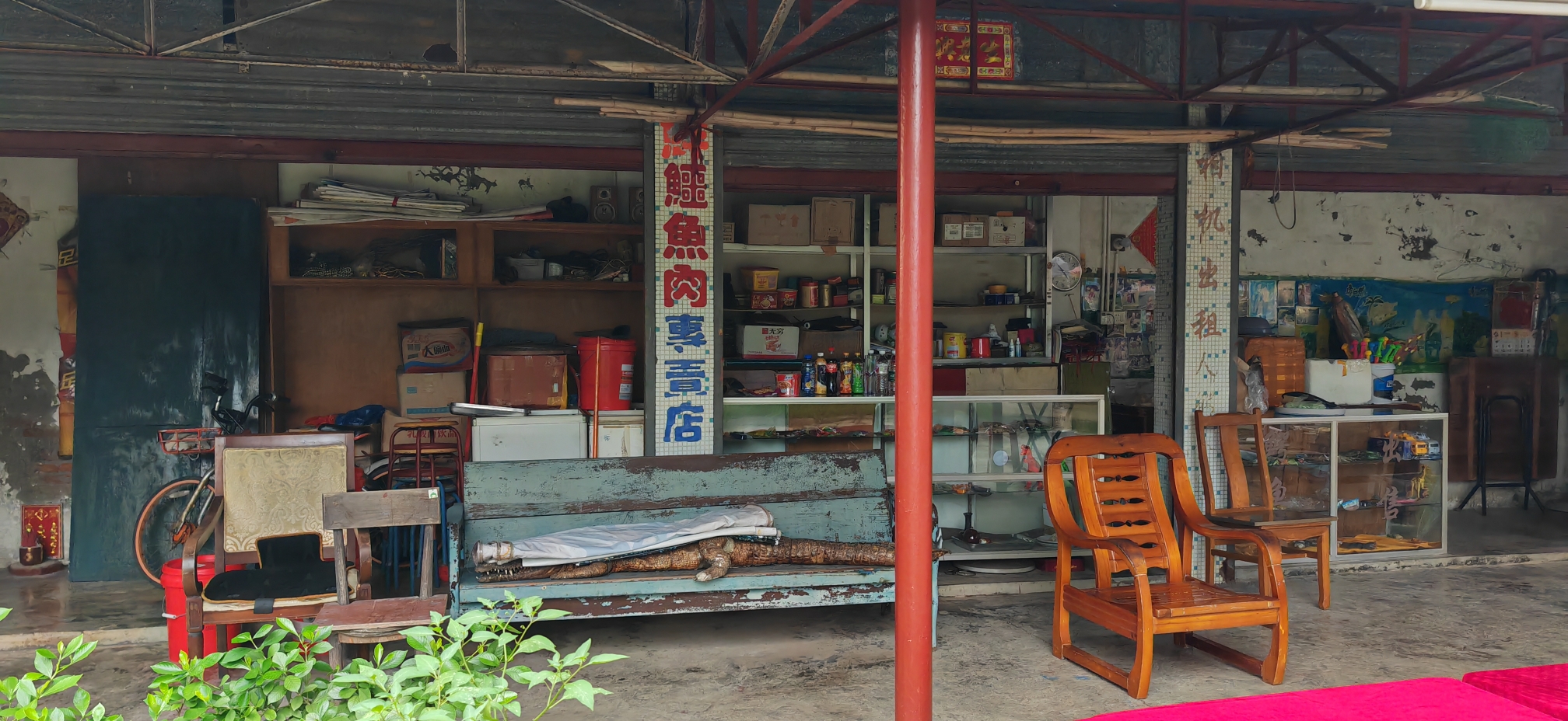 鳄鱼岛旅行图片 3