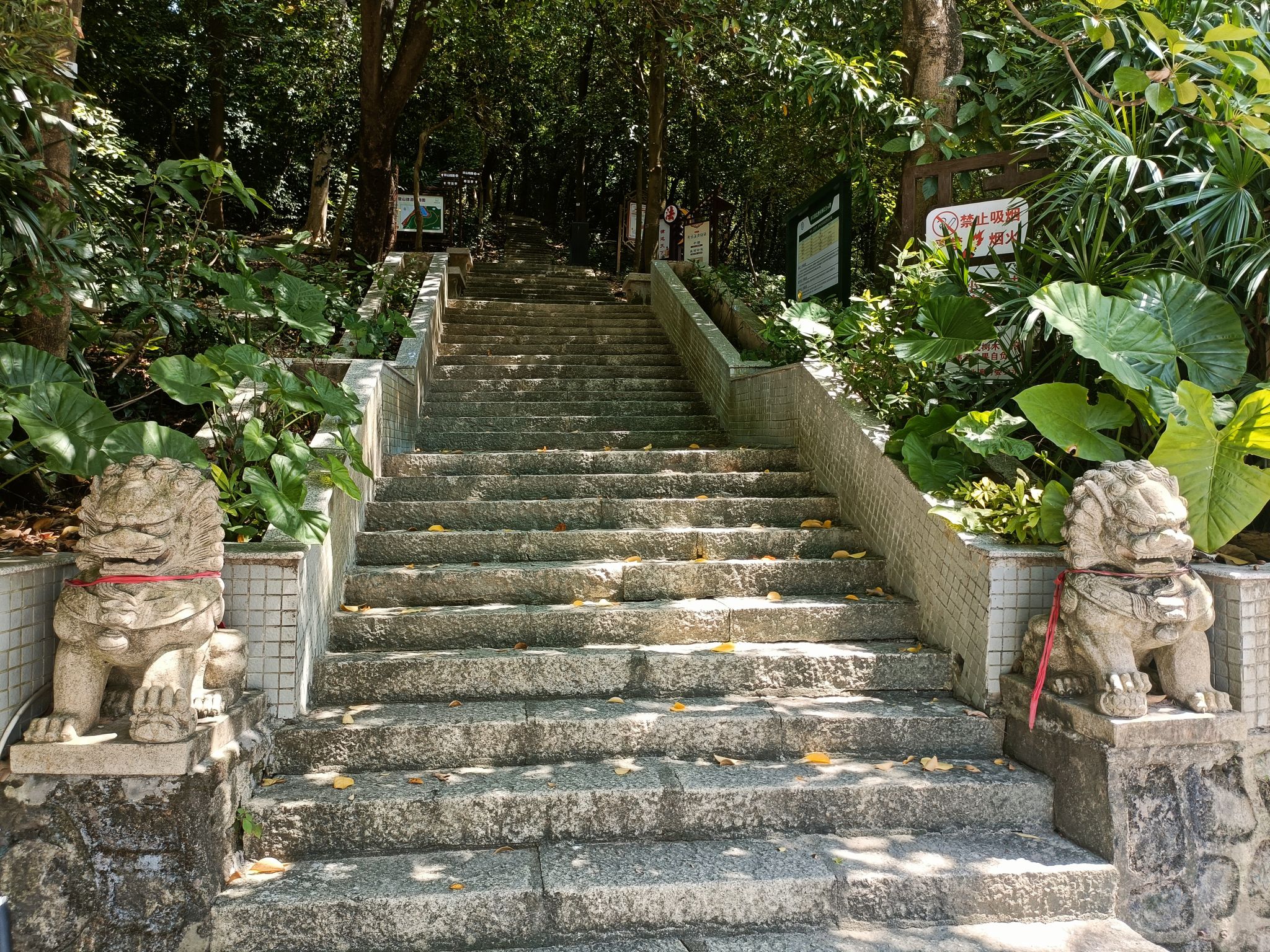 北澳公园旅行图片 3