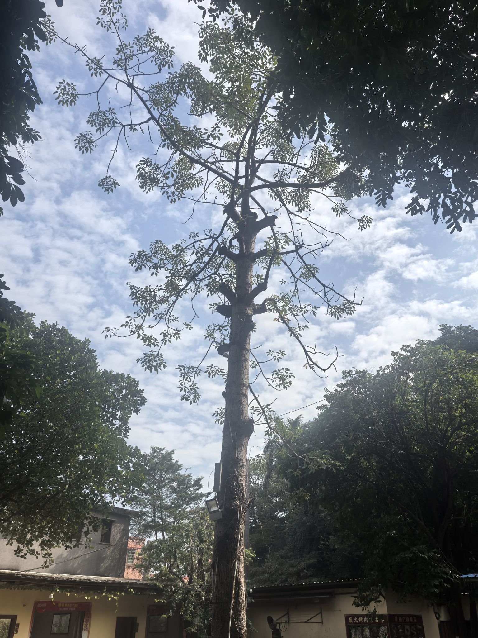 北澳公园旅行图片 2