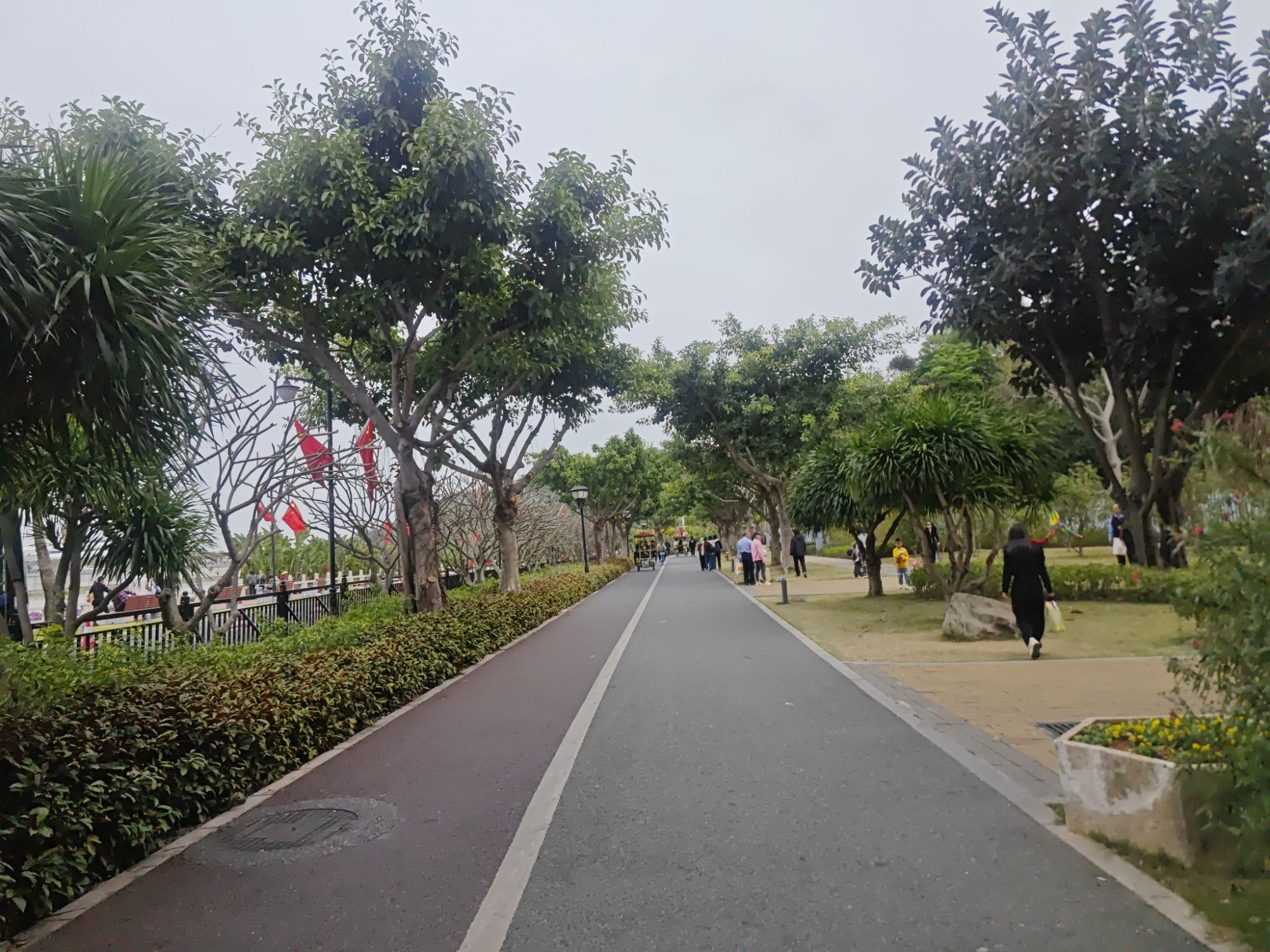 野狸岛公园旅行图片 1