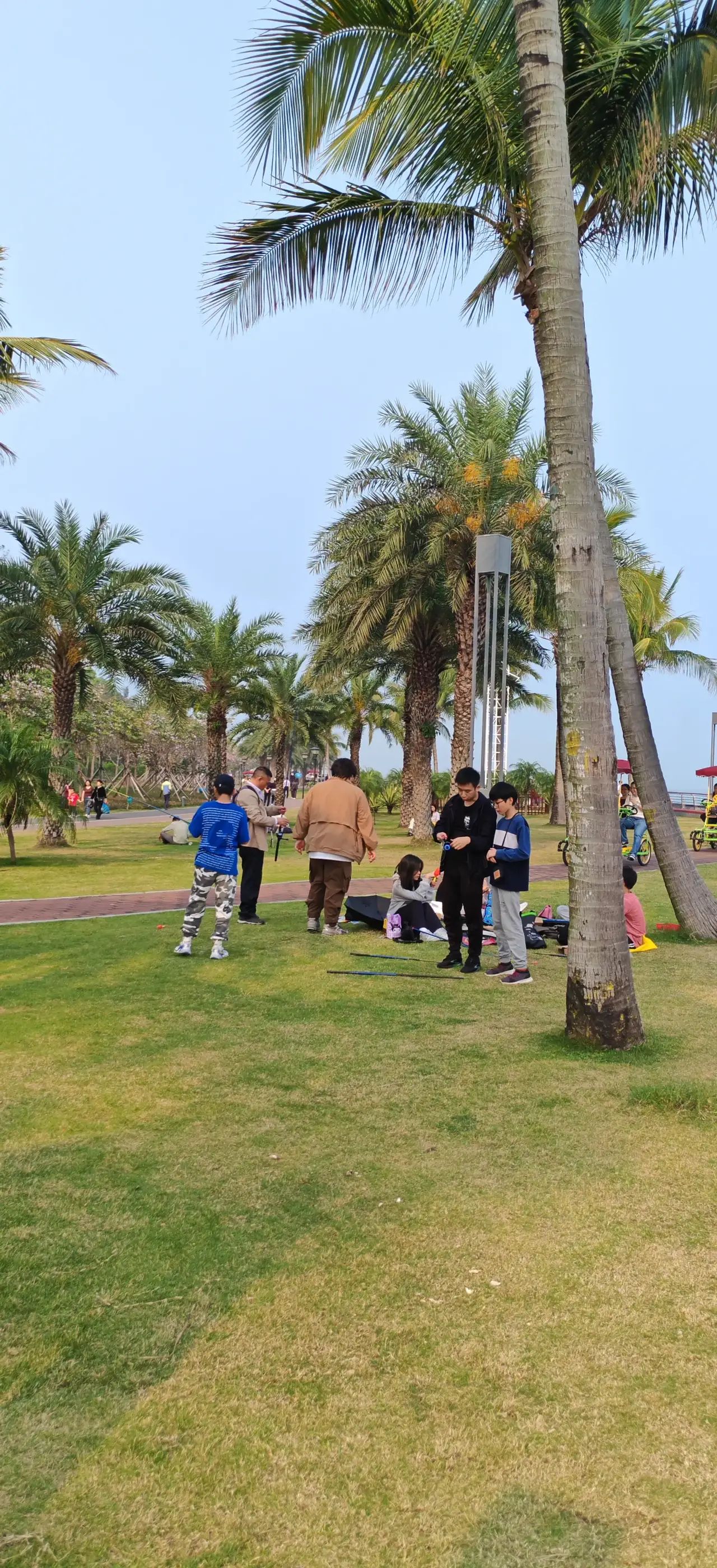 野狸岛公园旅行图片 3
