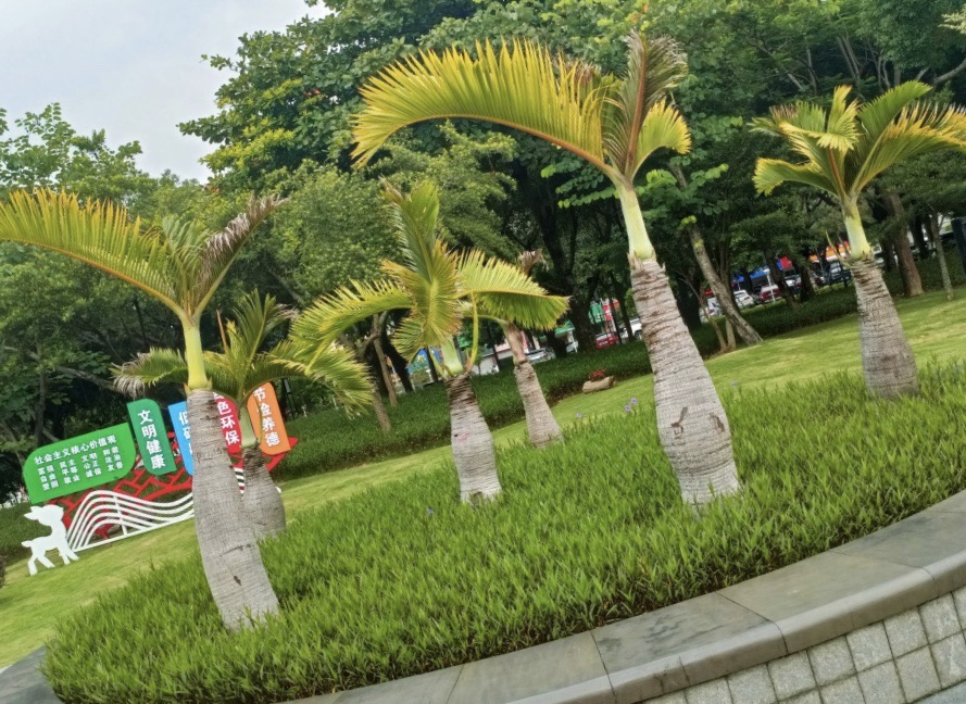 华发健身广场旅行图片 3