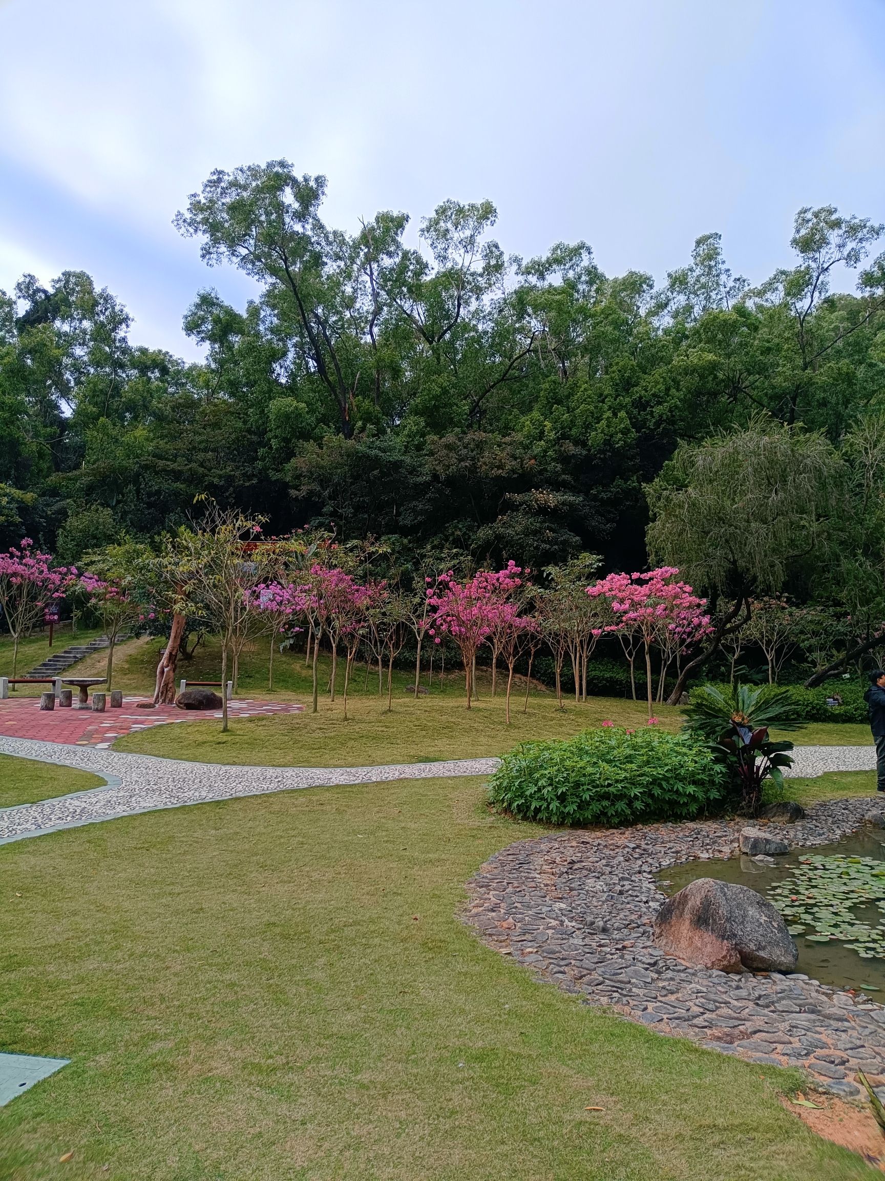 白莲洞公园旅行图片 1