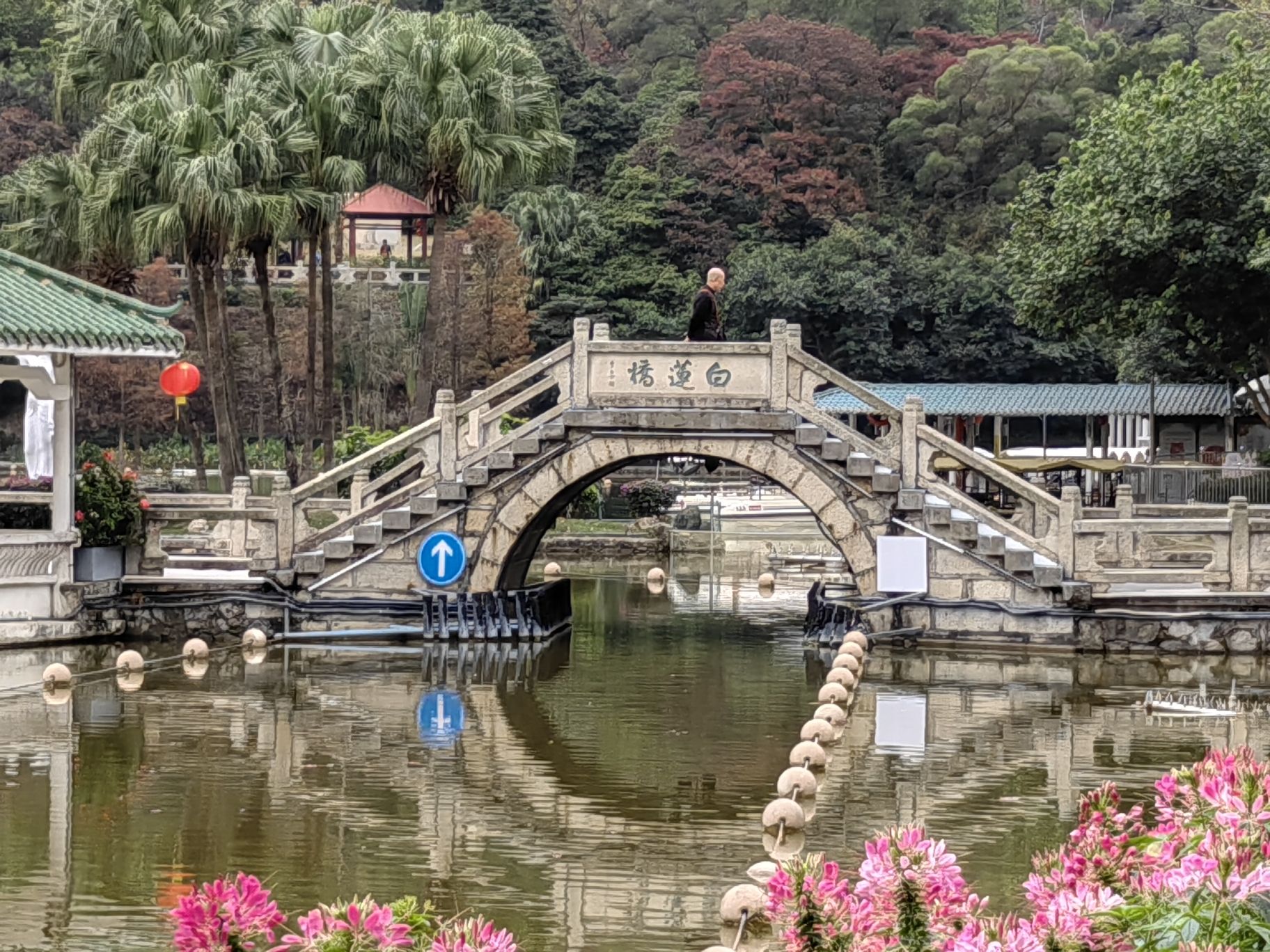 白莲洞公园旅行图片 2