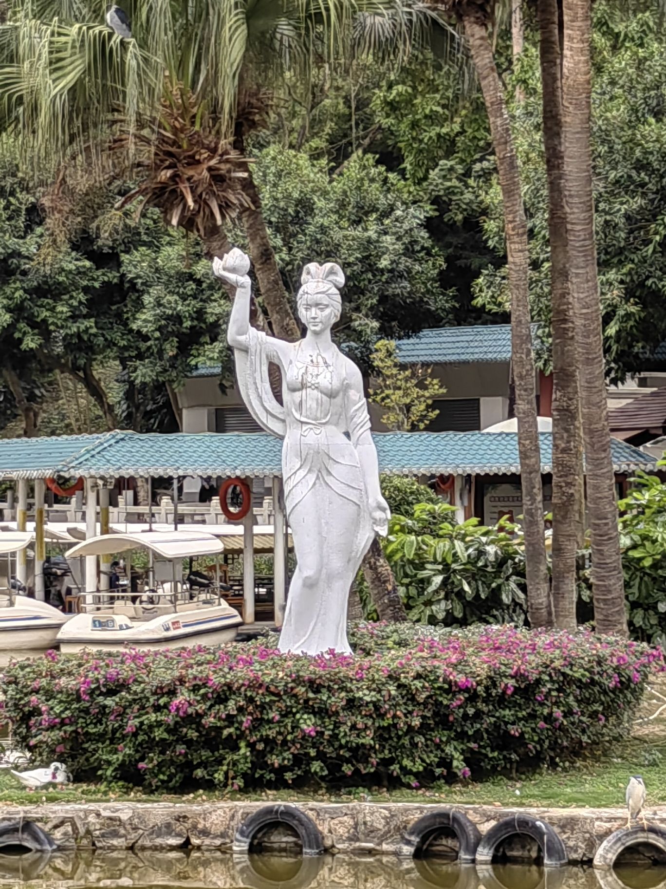 白莲洞公园旅行图片 3