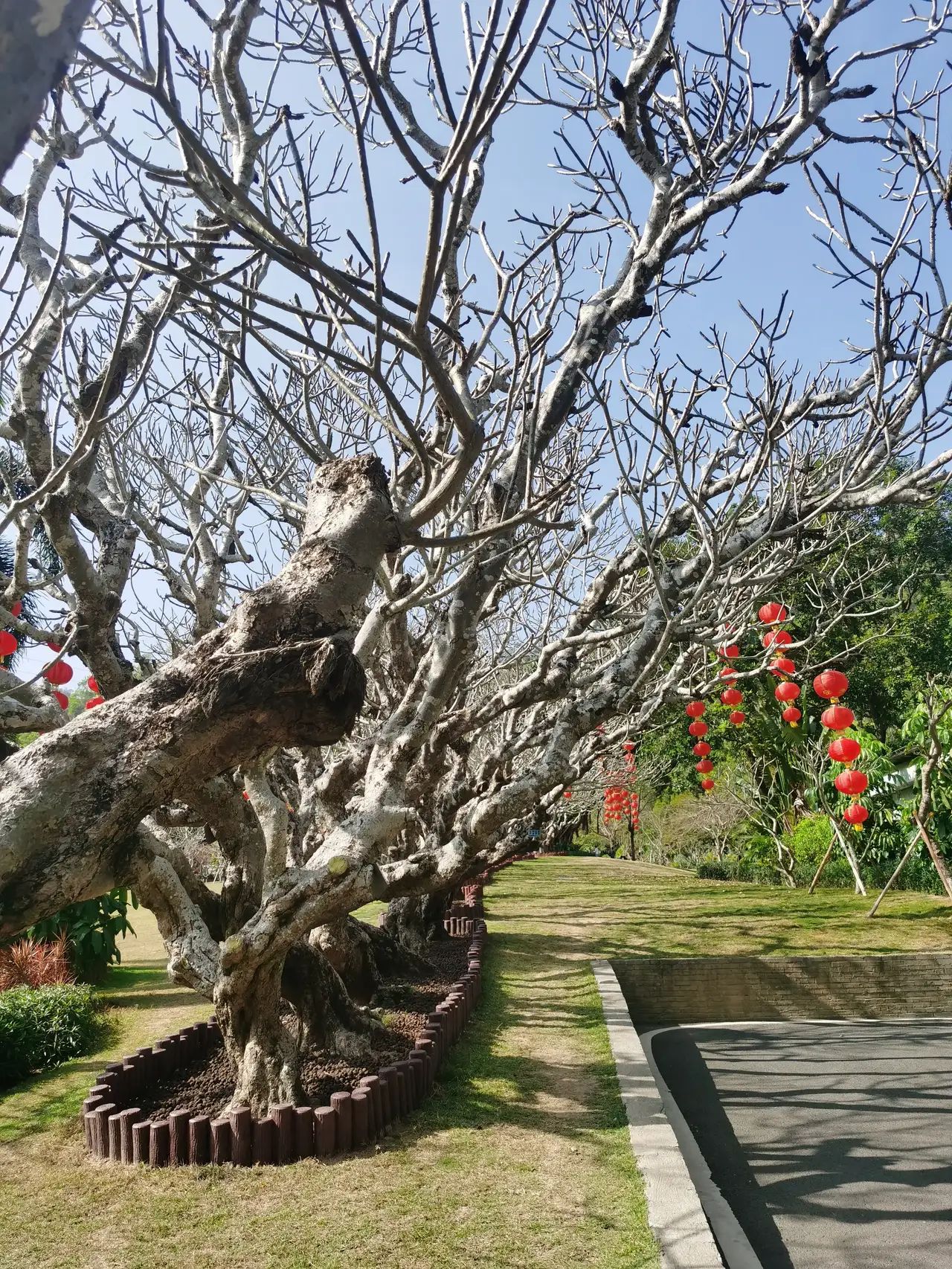 白莲洞公园旅行图片 3