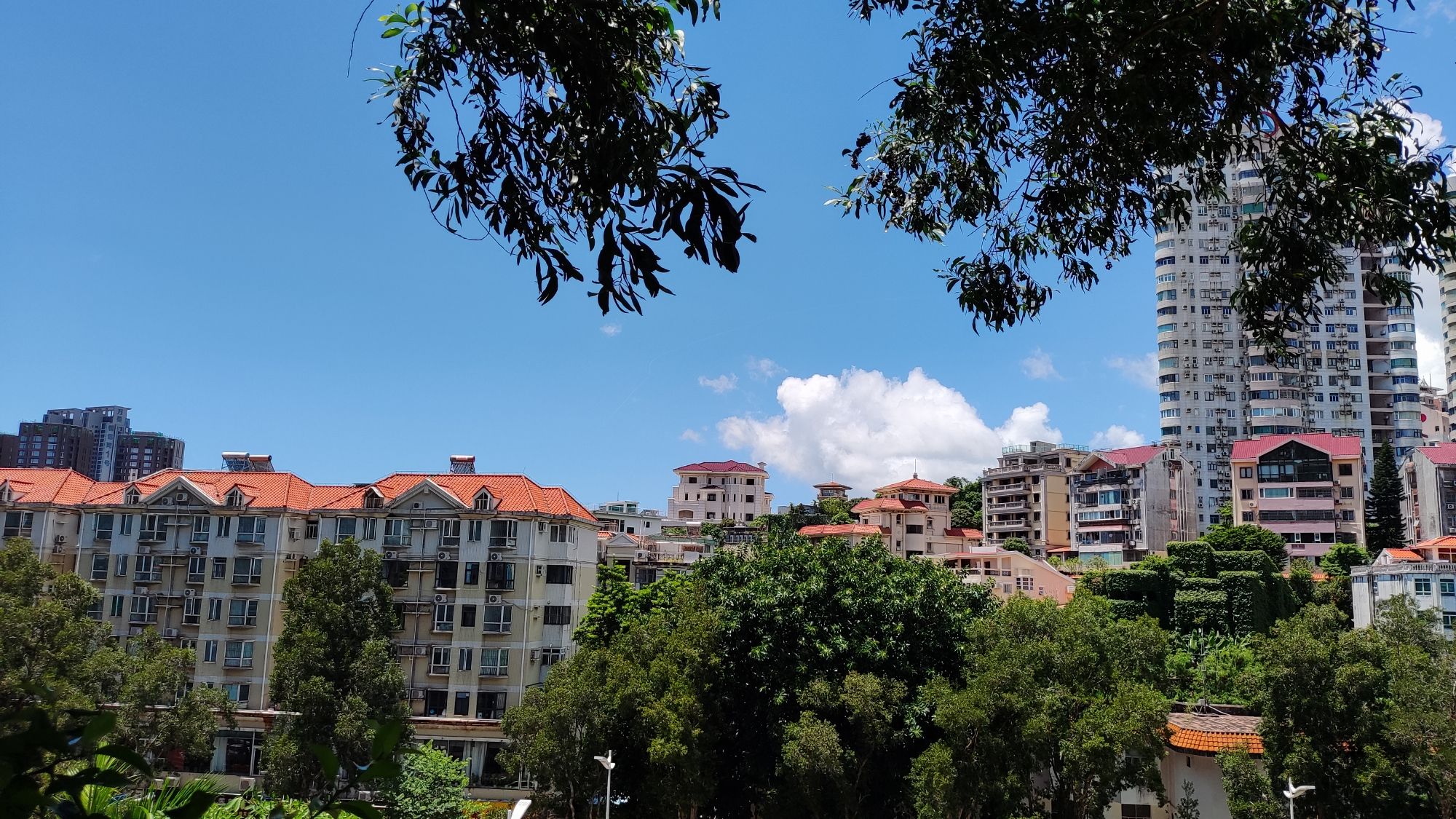 石花山公园旅行图片 3