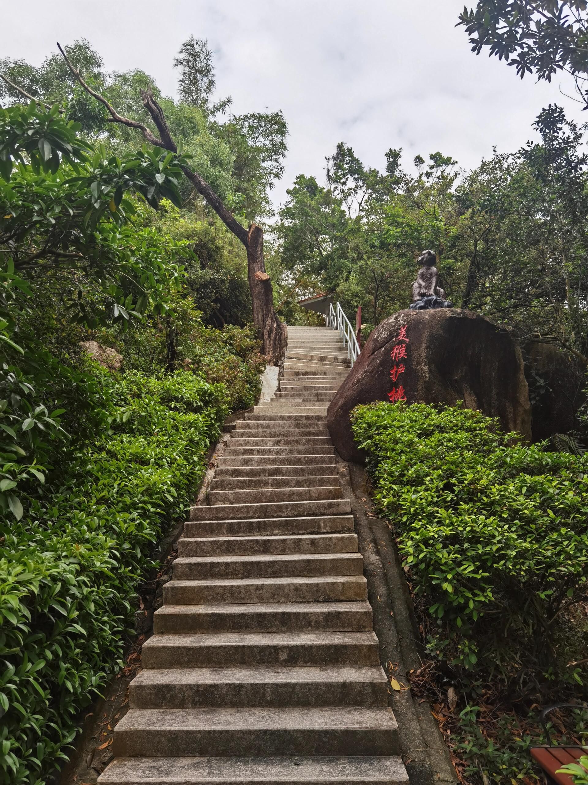 石花山公园旅行图片 2