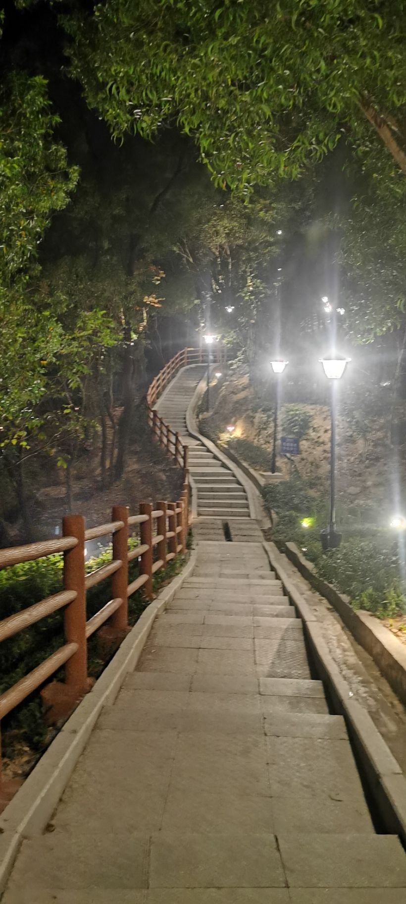 文楼山公园旅行图片 2