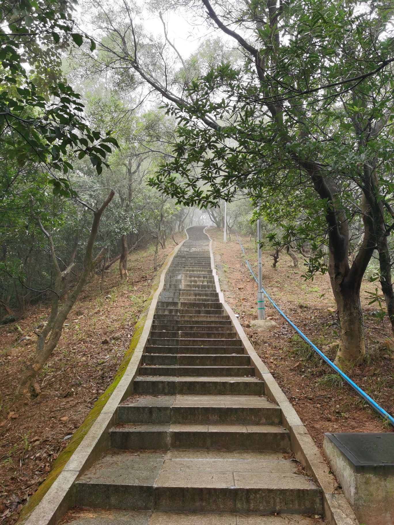 文楼山公园旅行图片 3