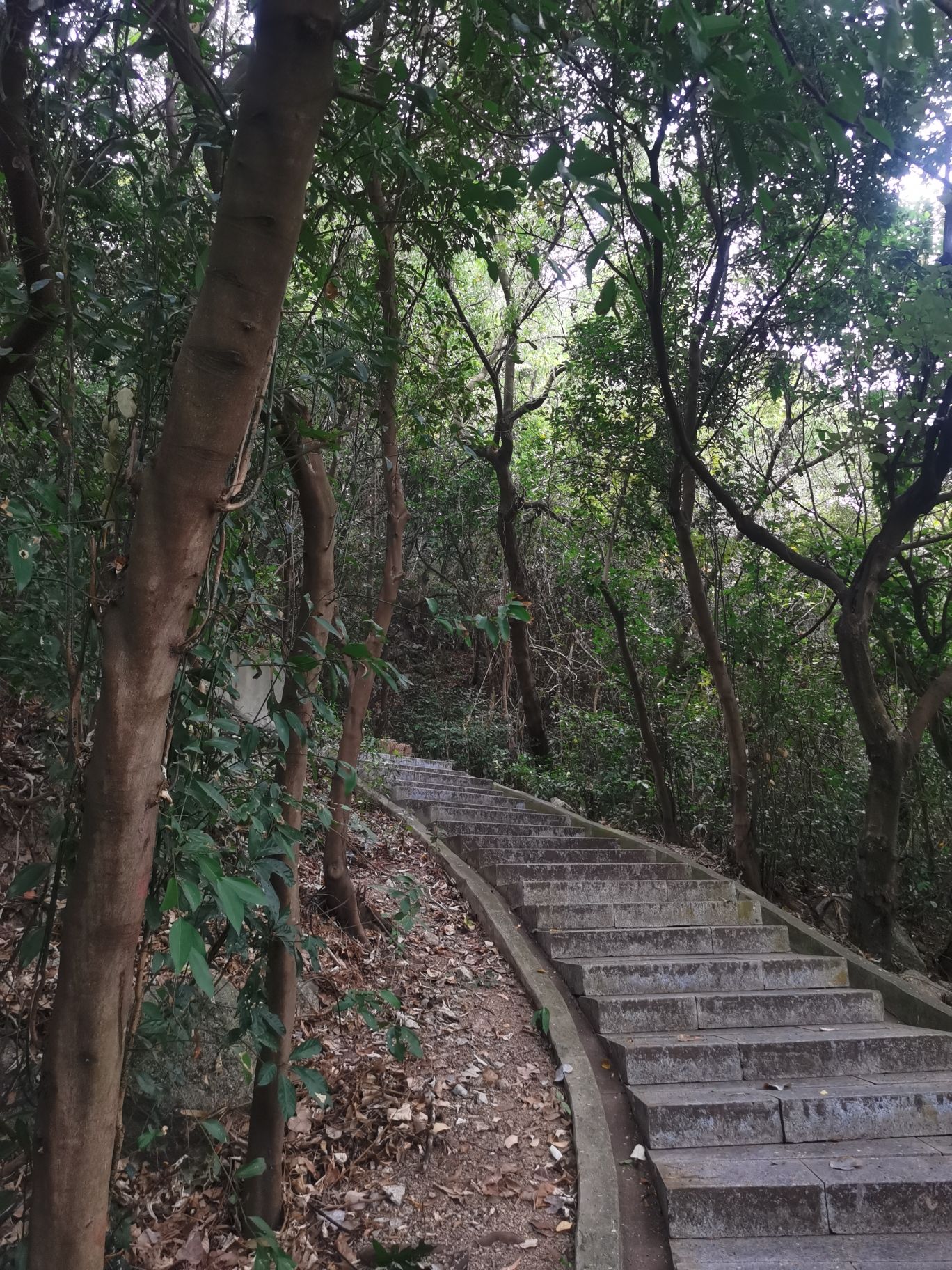 将军山公园旅行图片 1