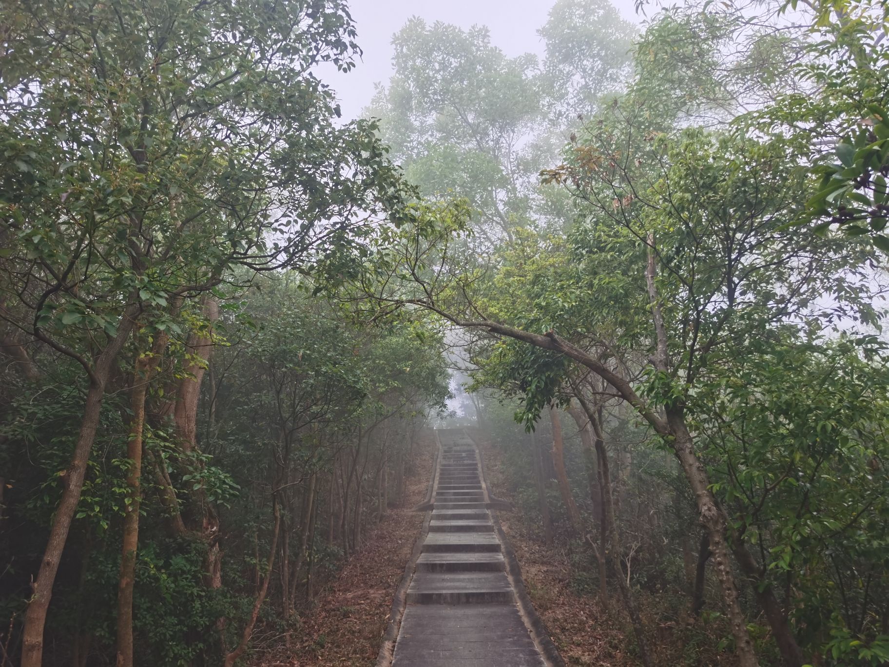 将军山公园旅行图片 2