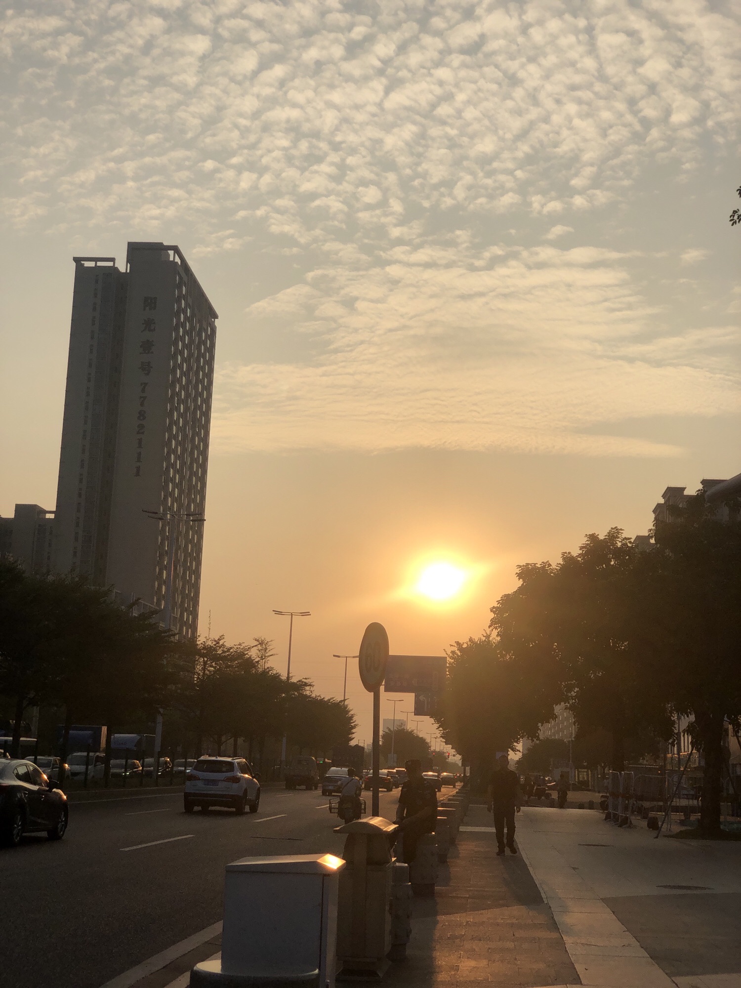 伟民广场旅行图片 1