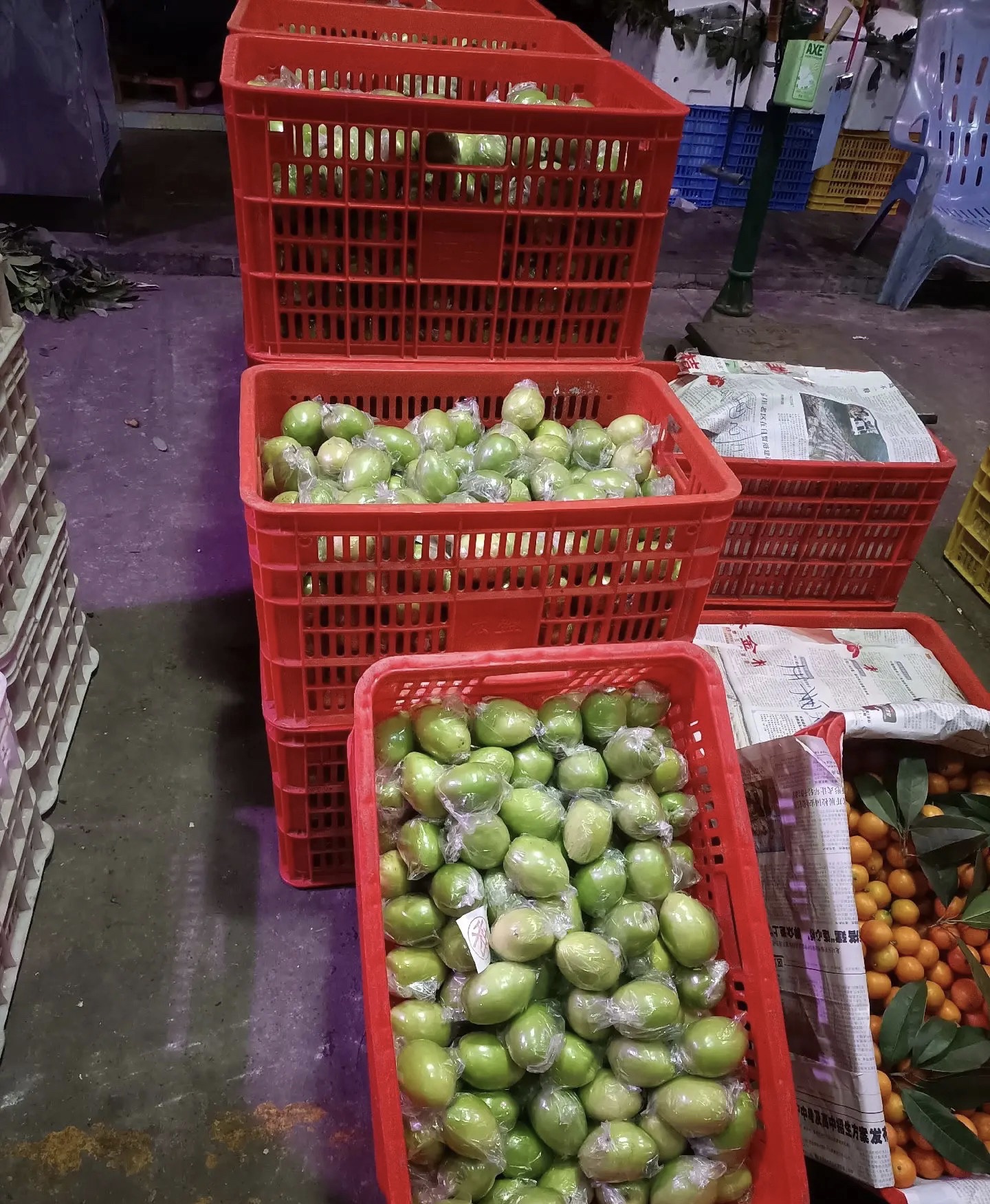 斗门坭湾水果批发市场