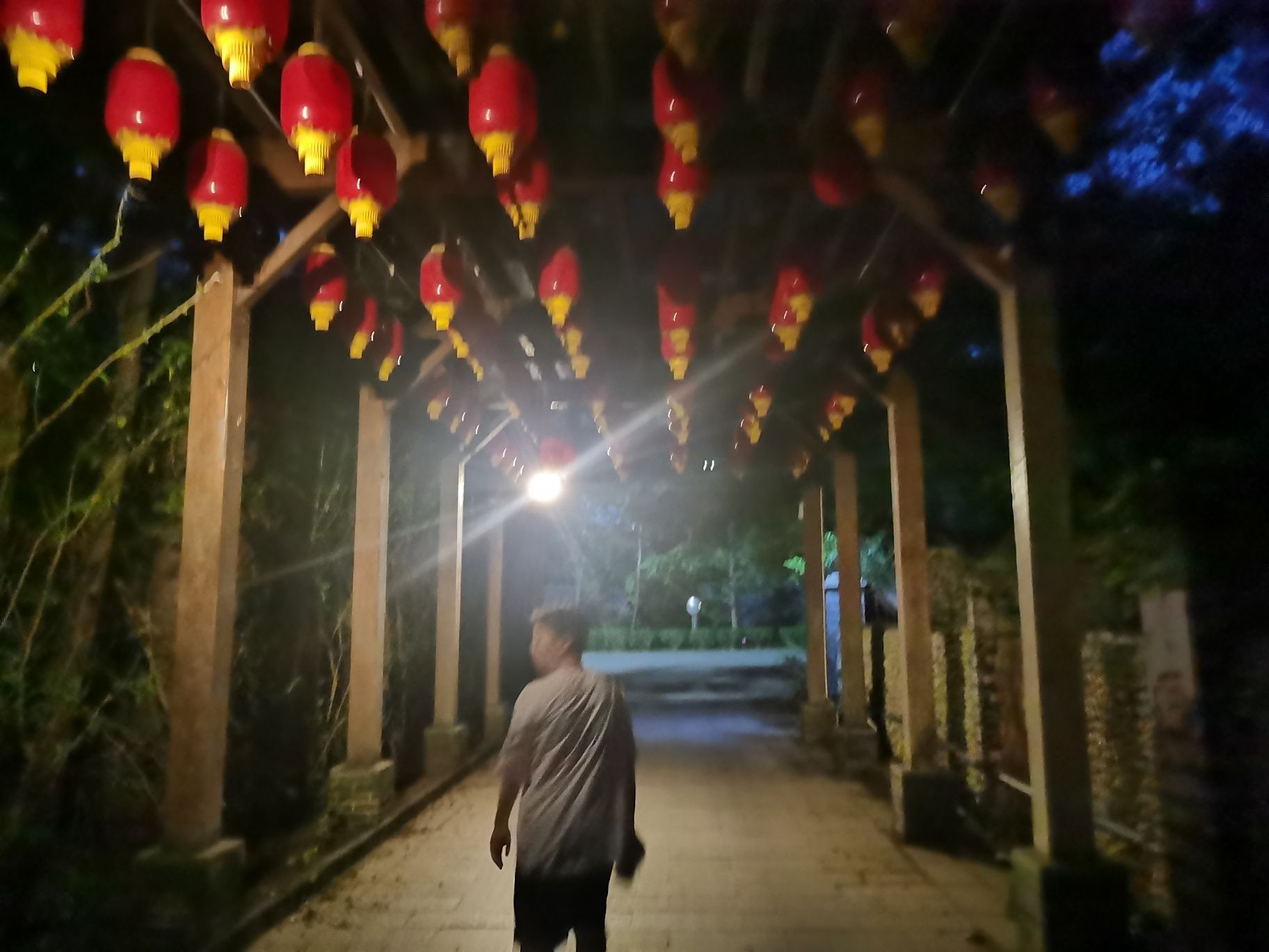 珠海十里莲江农旅健康小镇旅行图片 3