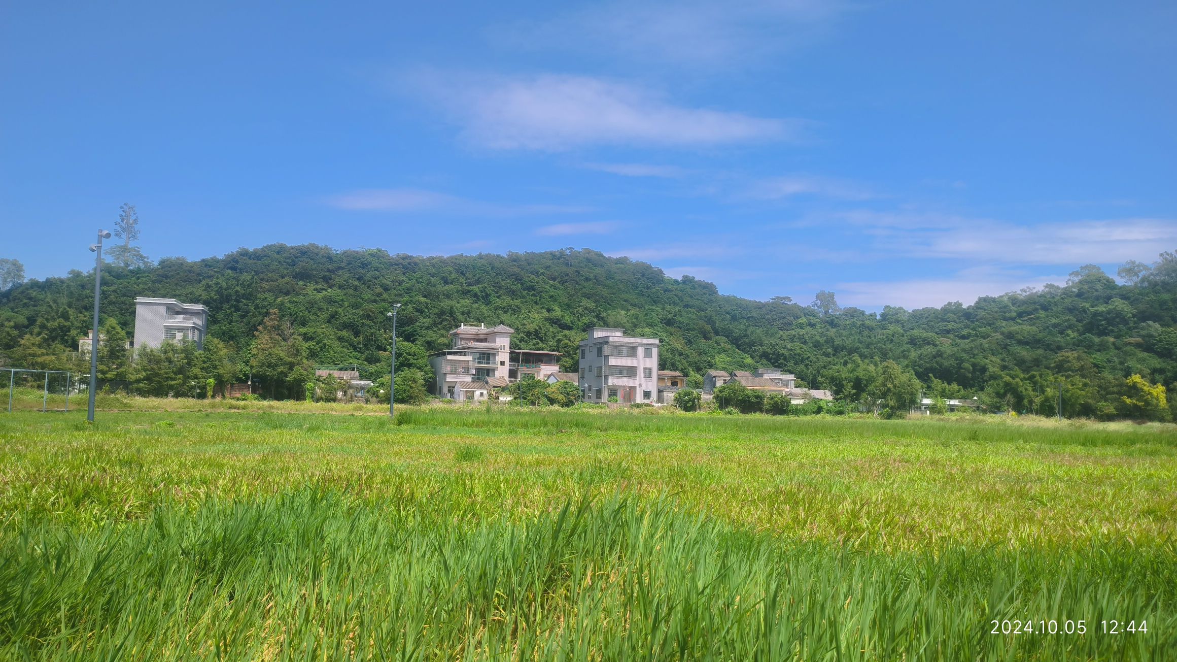 珠海十里莲江农旅健康小镇旅行图片 3