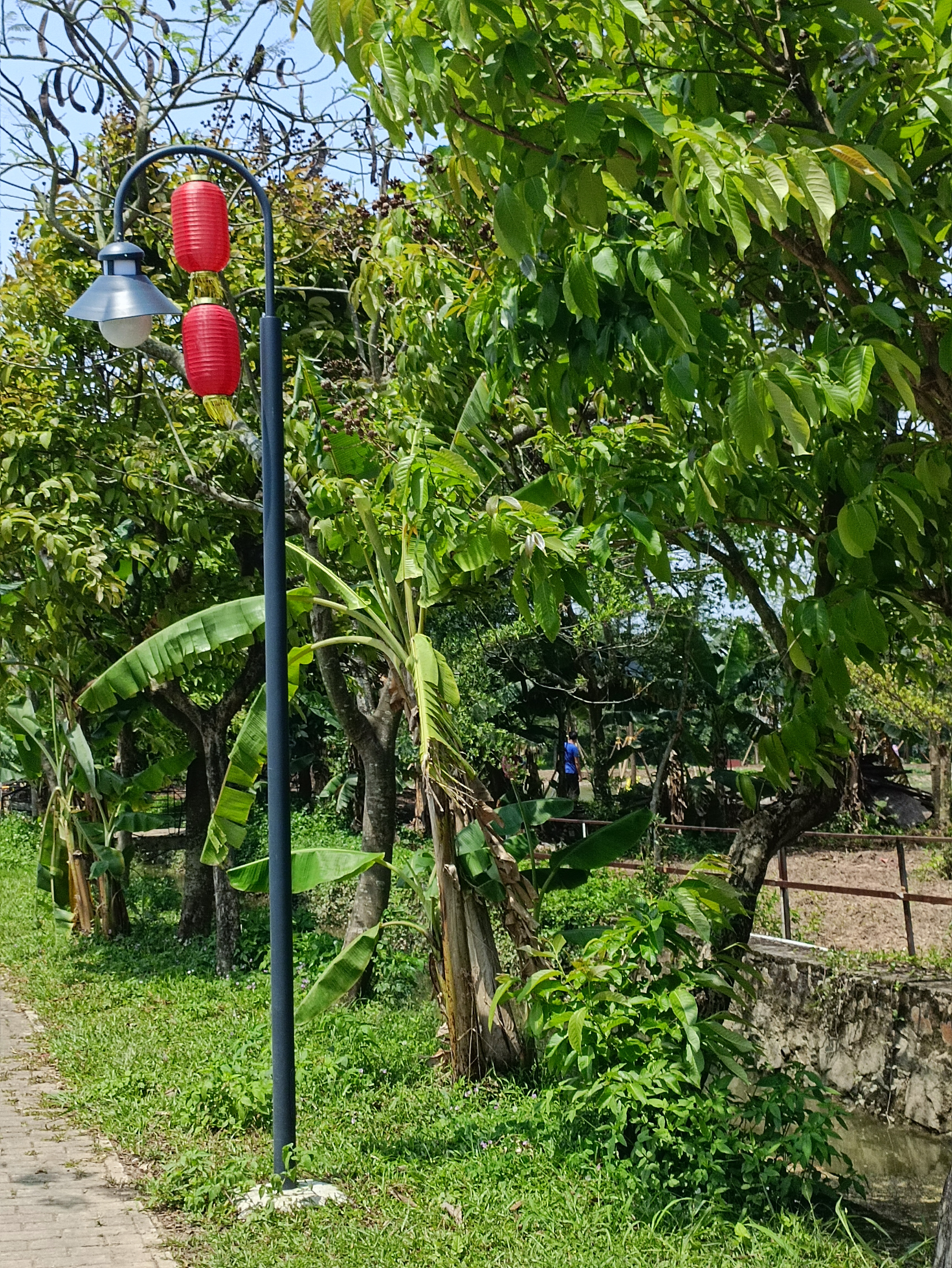 珠海十里莲江农旅健康小镇旅行图片 2