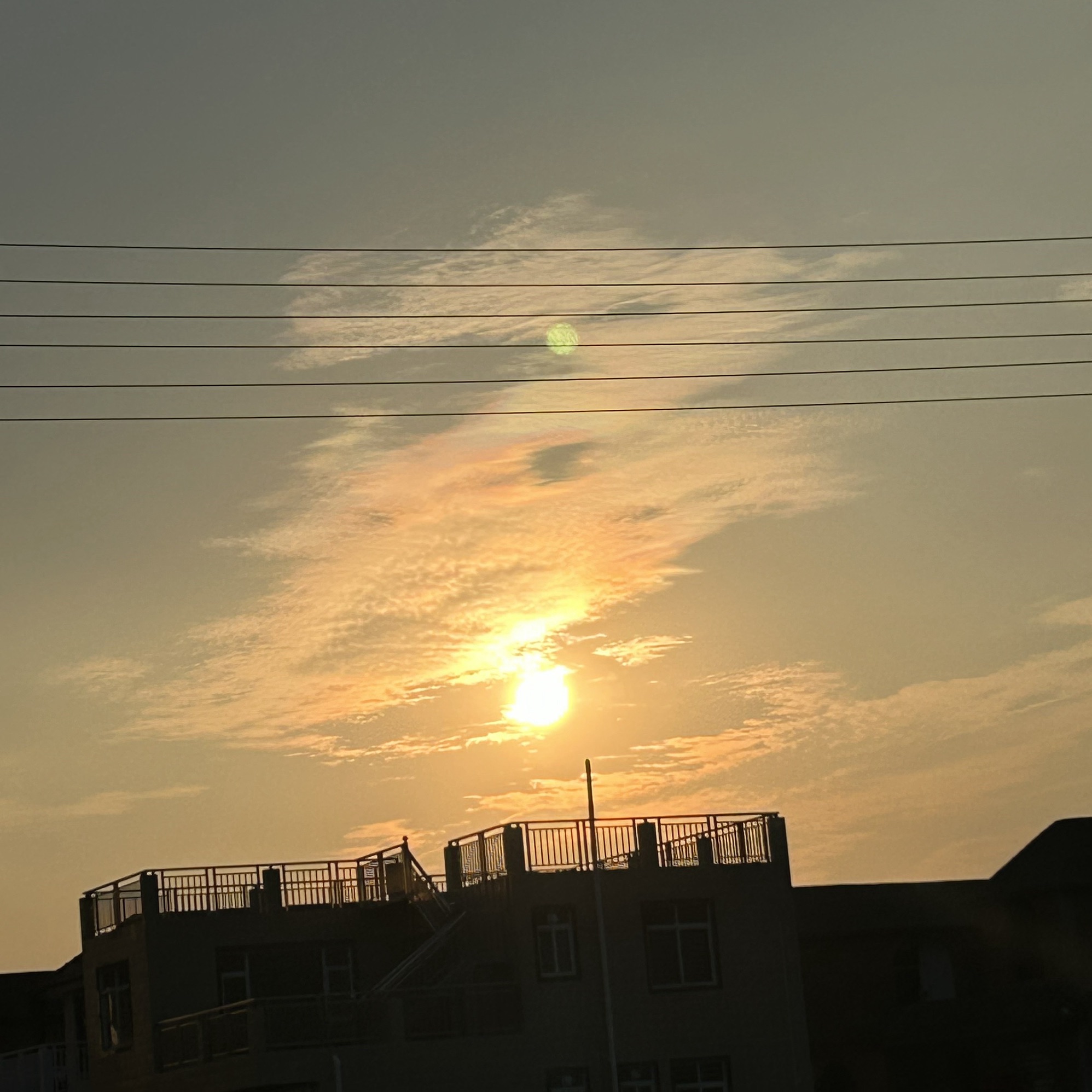 淇澳岛旅行图片 1