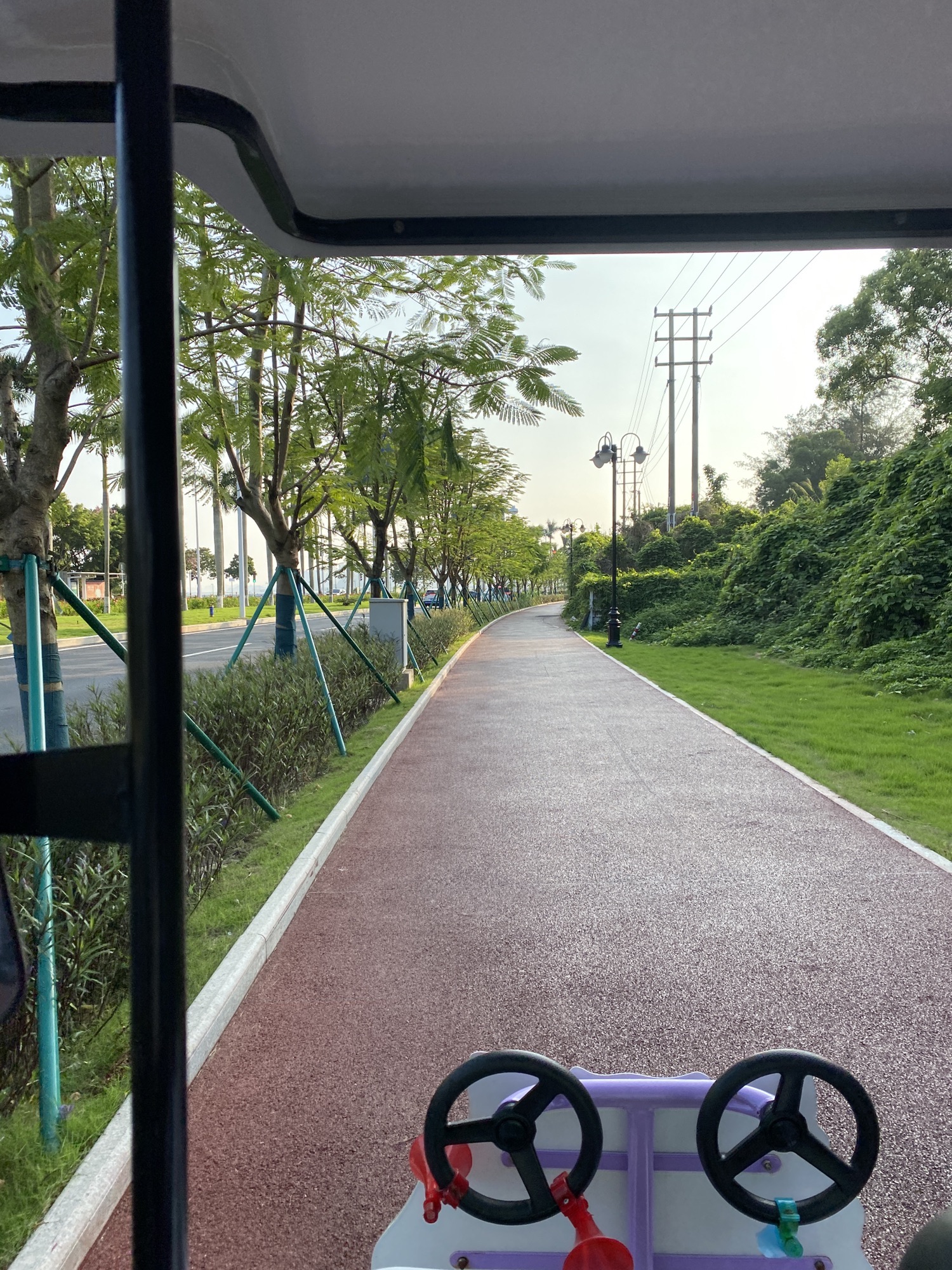淇澳岛旅行图片 3