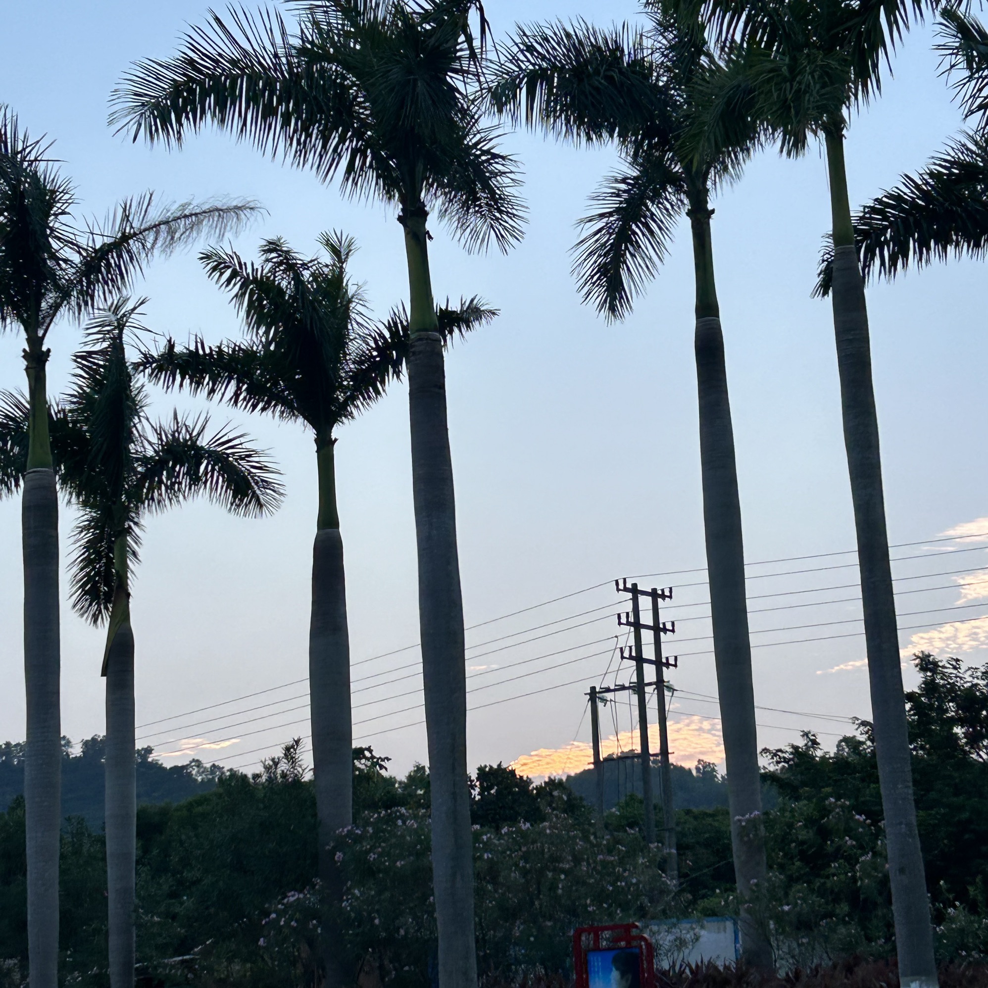 淇澳岛旅行图片 2