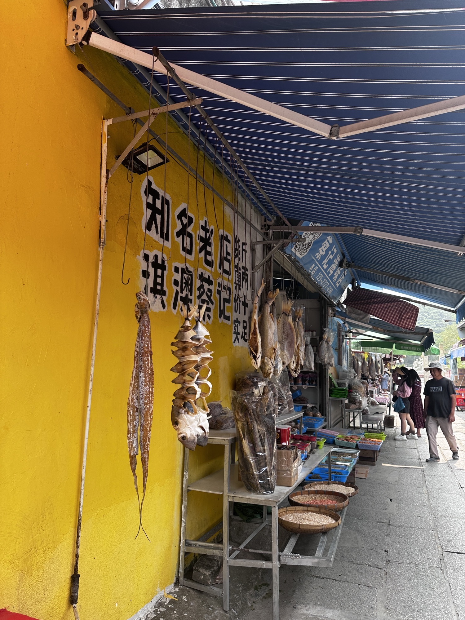 淇澳岛旅行图片 1