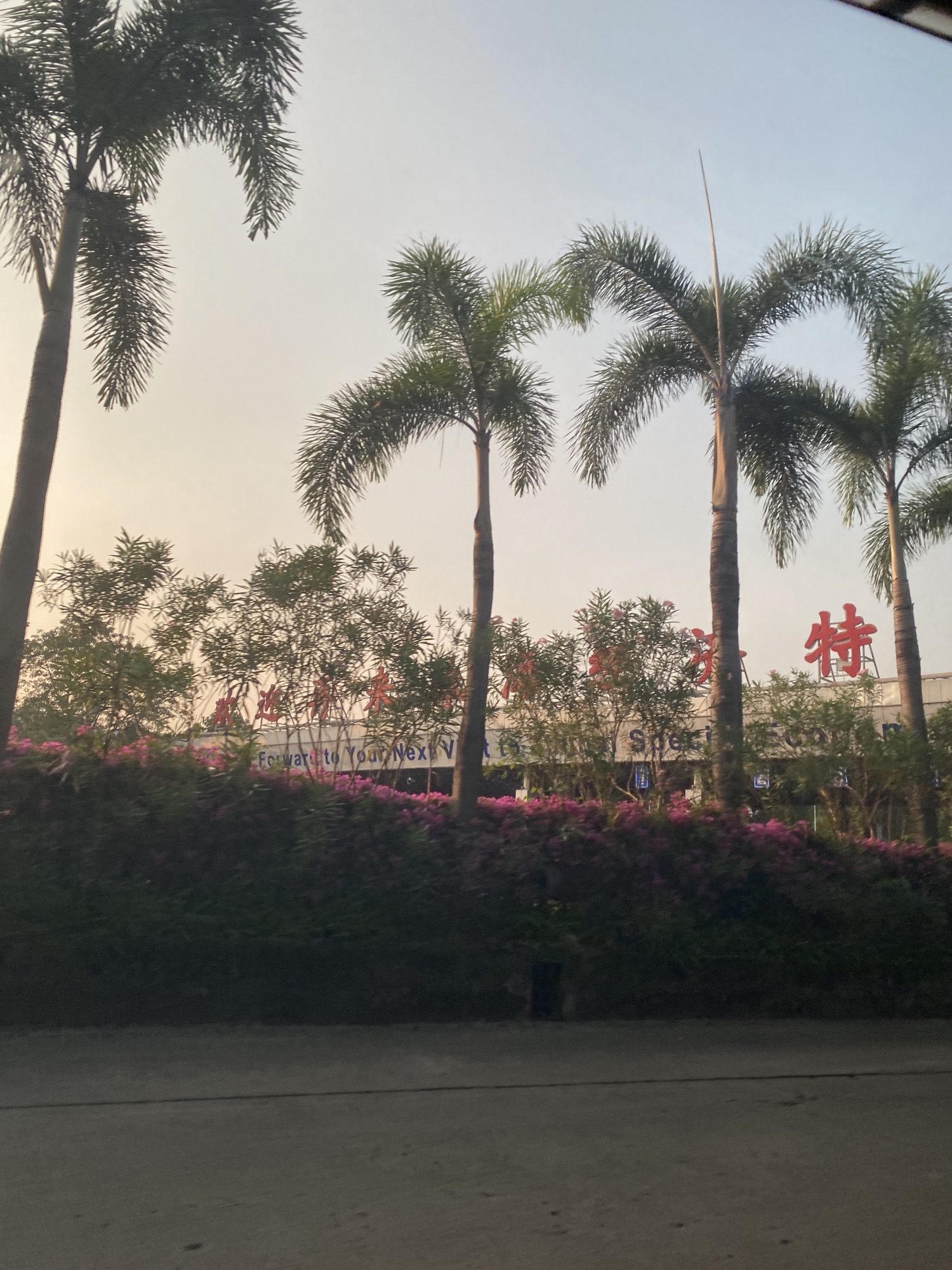 淇澳岛旅行图片 2