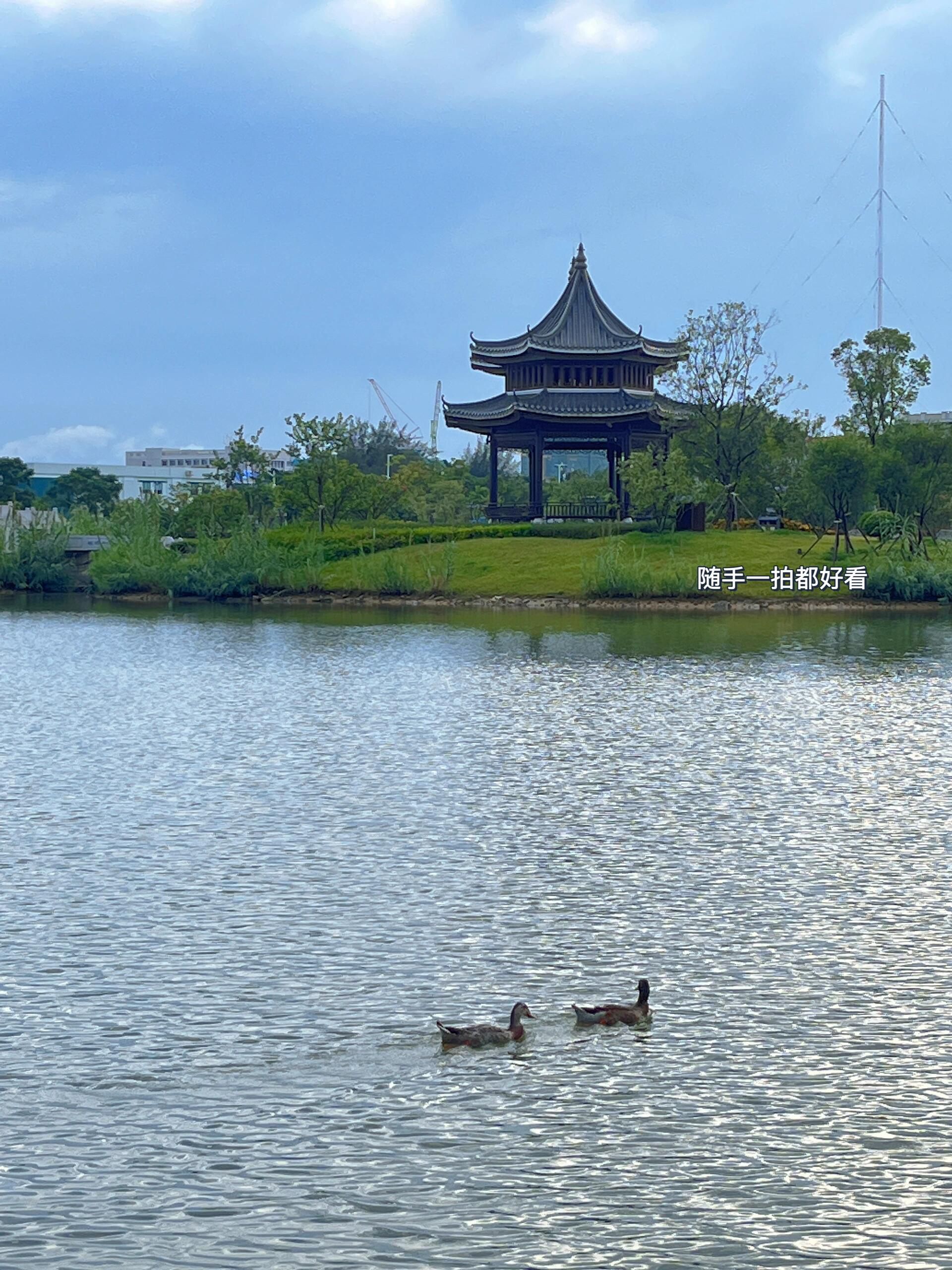 珠海中山公园旅行图片 2