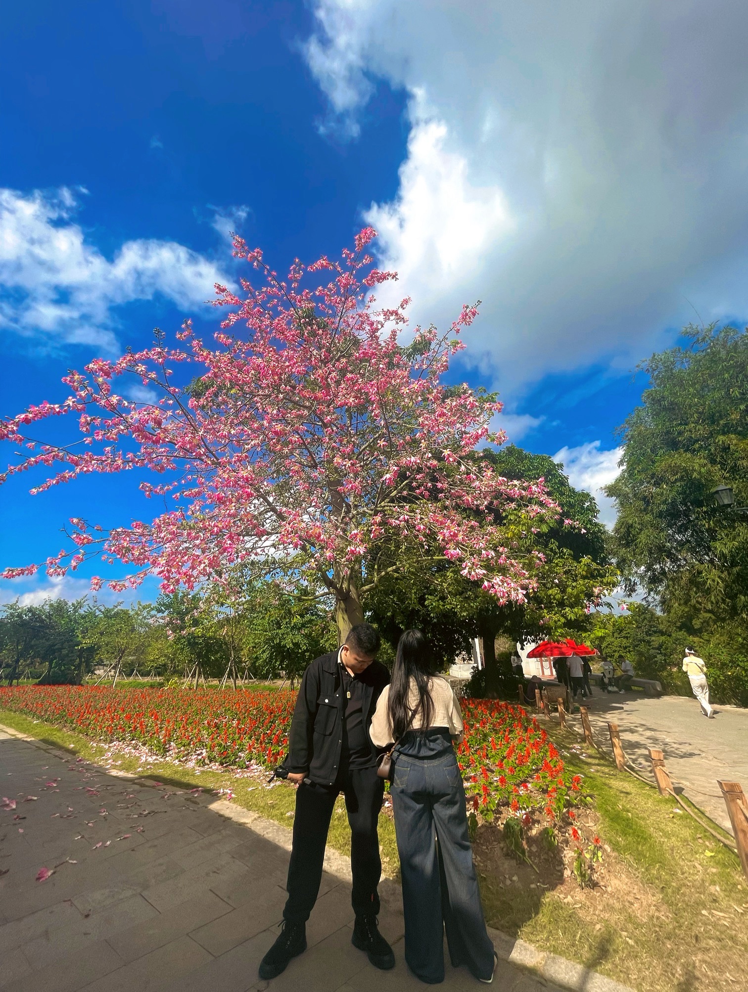 接霞庄旅行图片 1