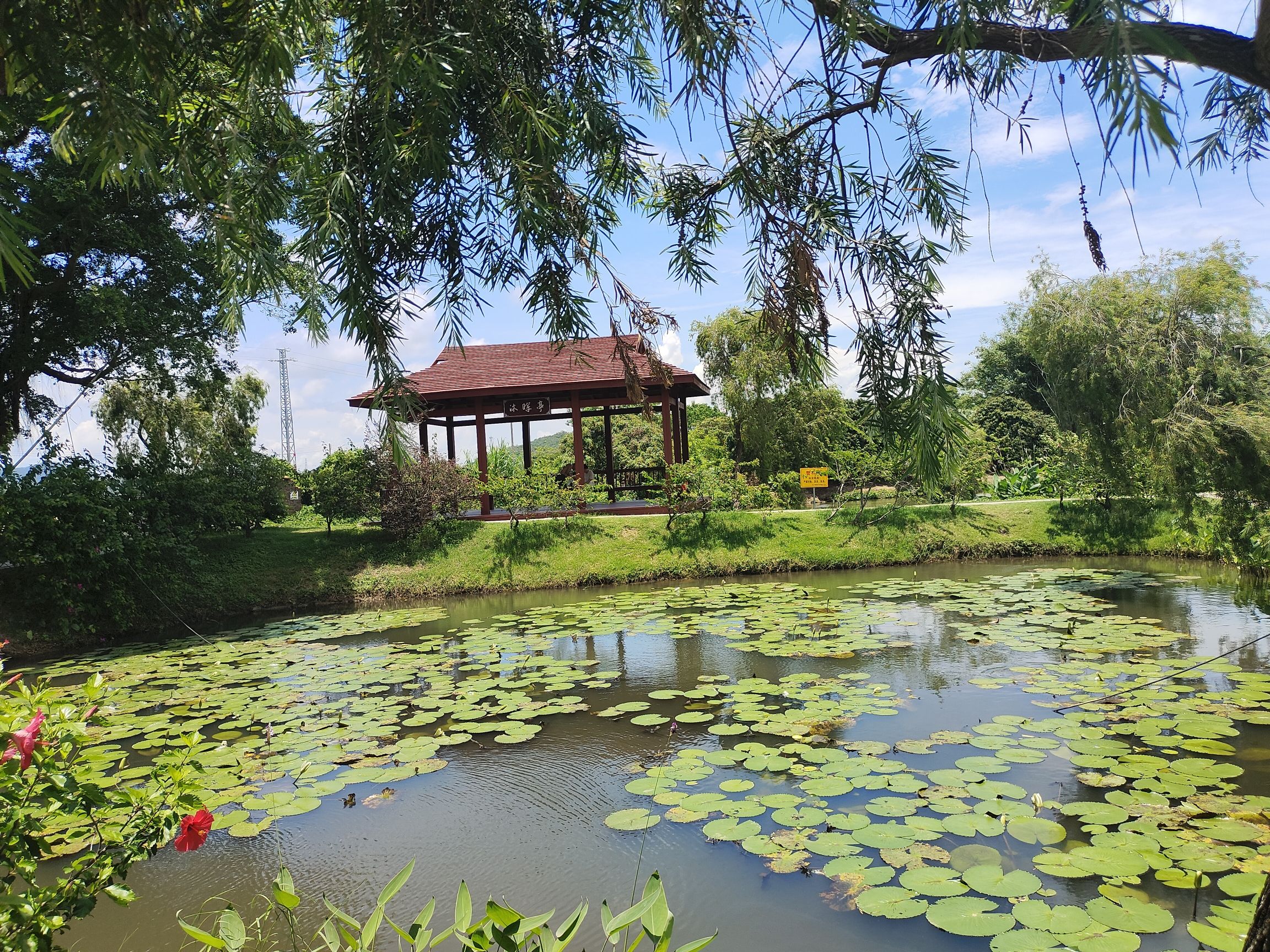 接霞庄旅行图片 2