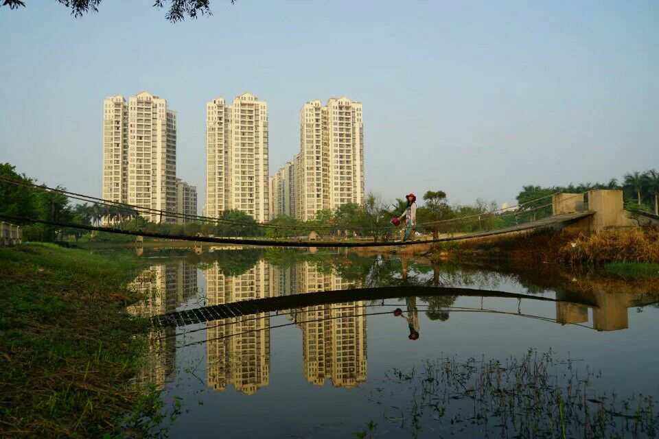 爱布菲尔湿地公园旅行图片 2