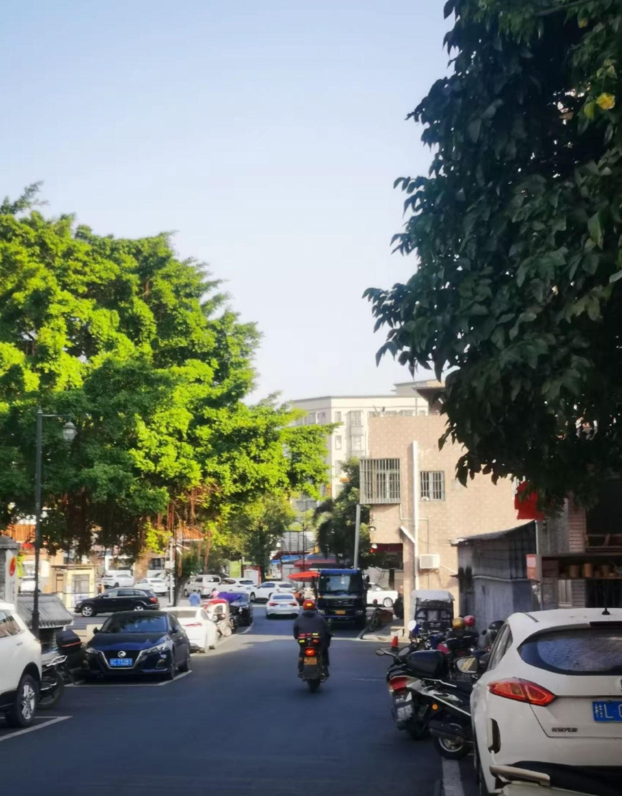斗门镇南门休闲广场旅行图片 2