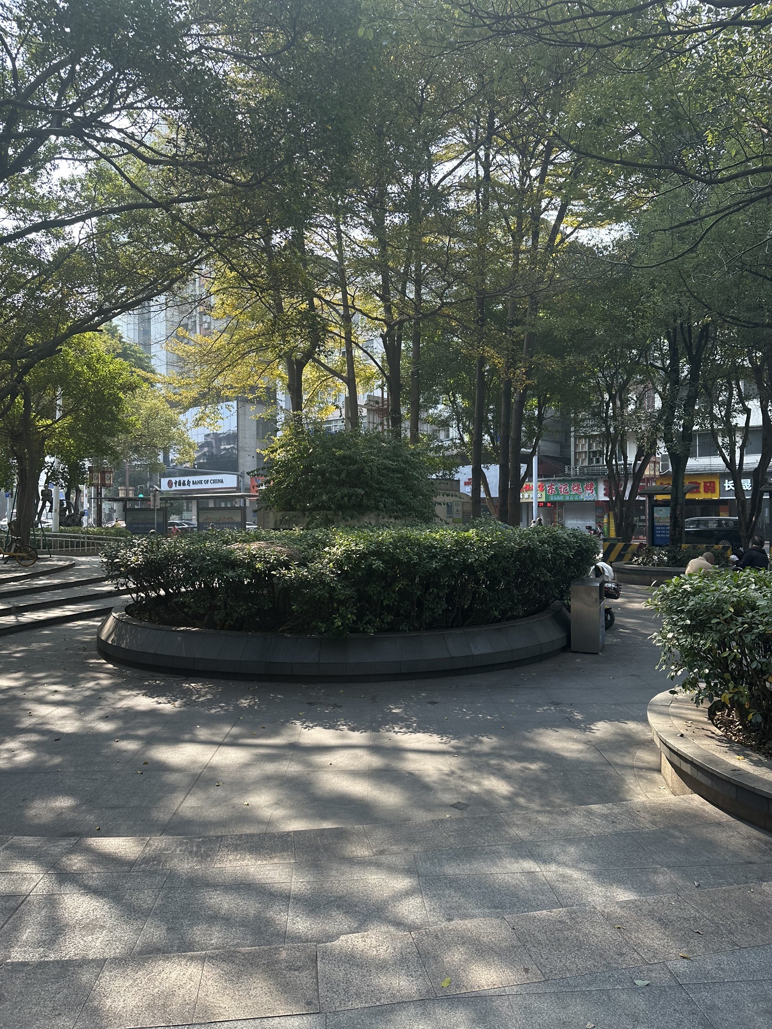 莲花广场旅行图片 3