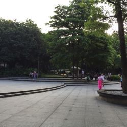 莲花广场旅行图片 1