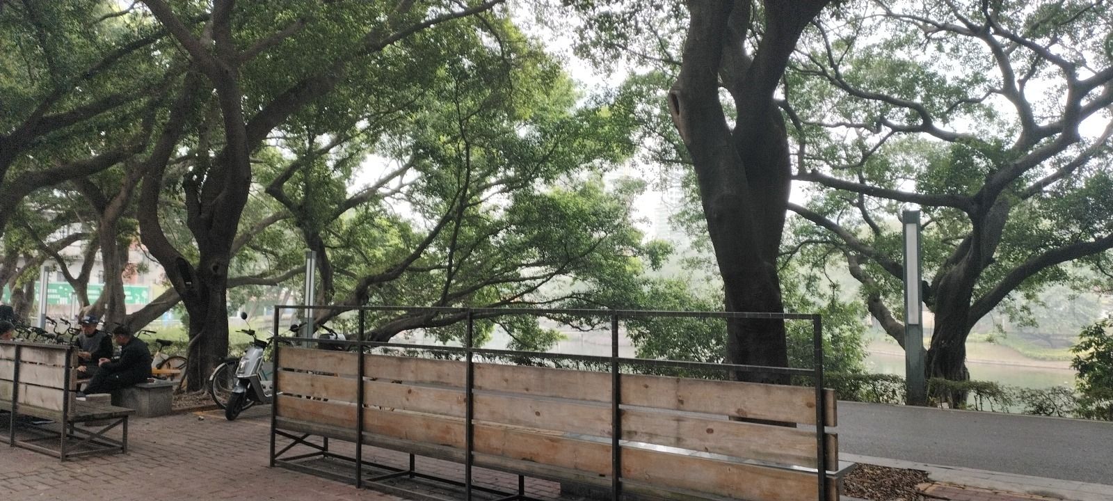 石湾公园旅行图片 2