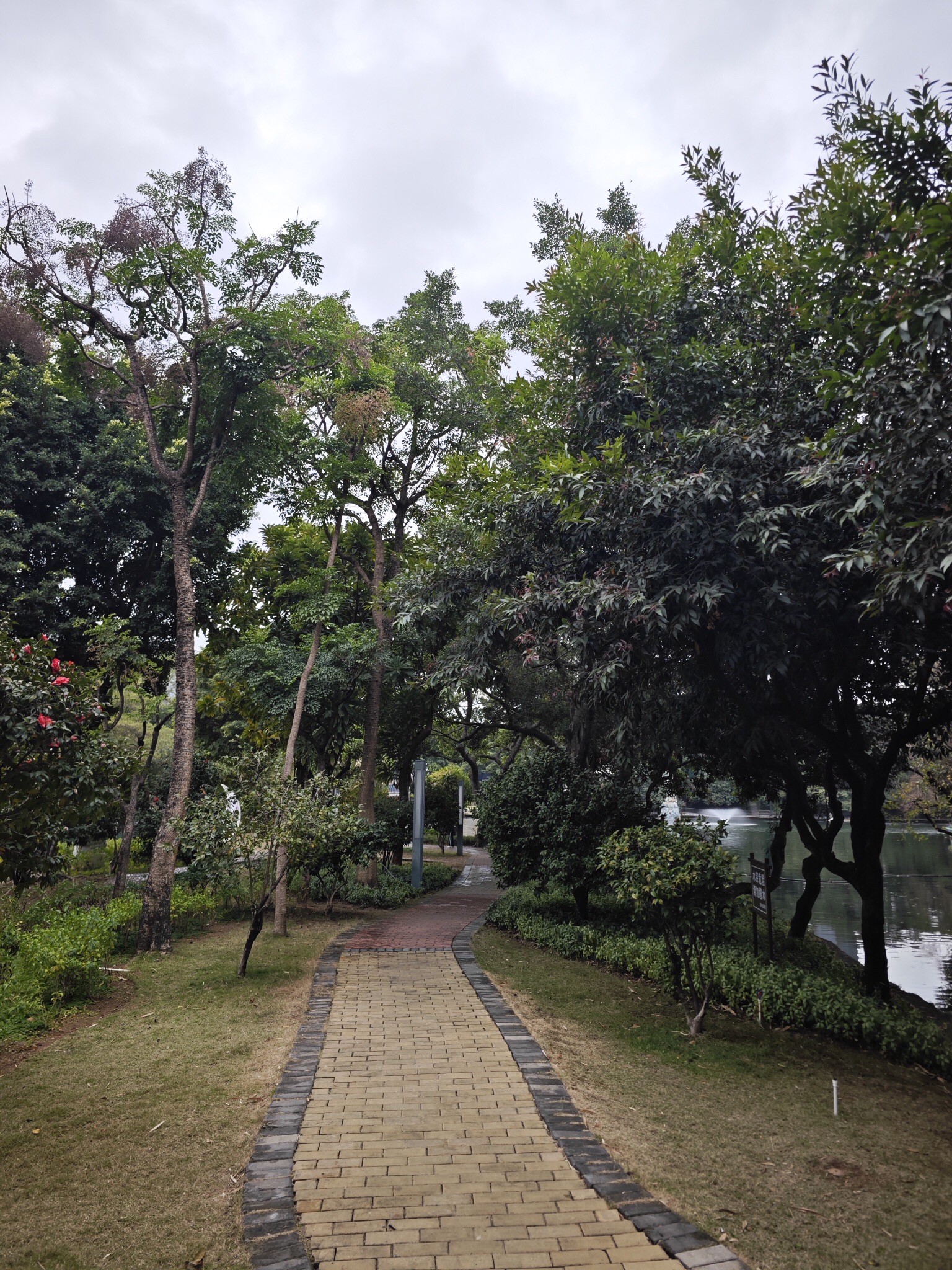 石湾公园旅行图片 3