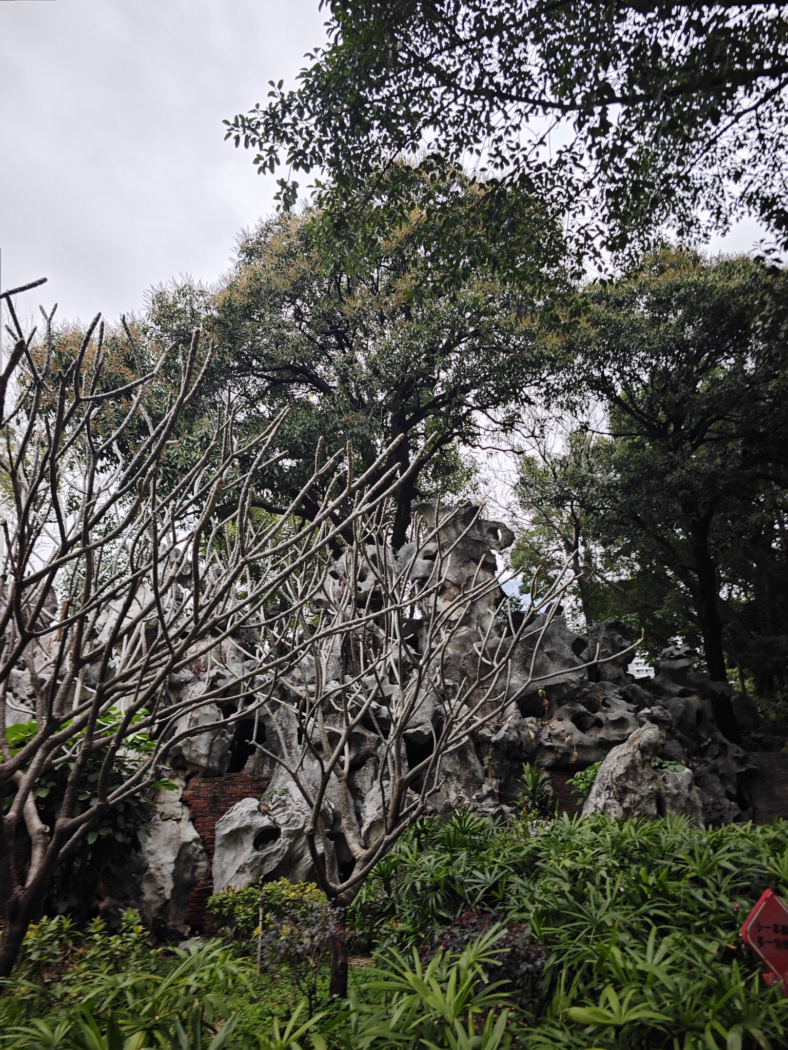 石湾公园旅行图片 2