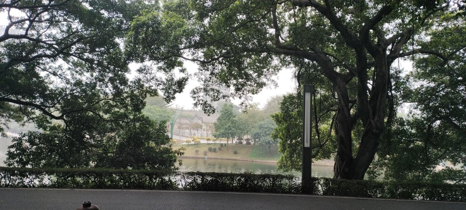 石湾公园旅行图片 3