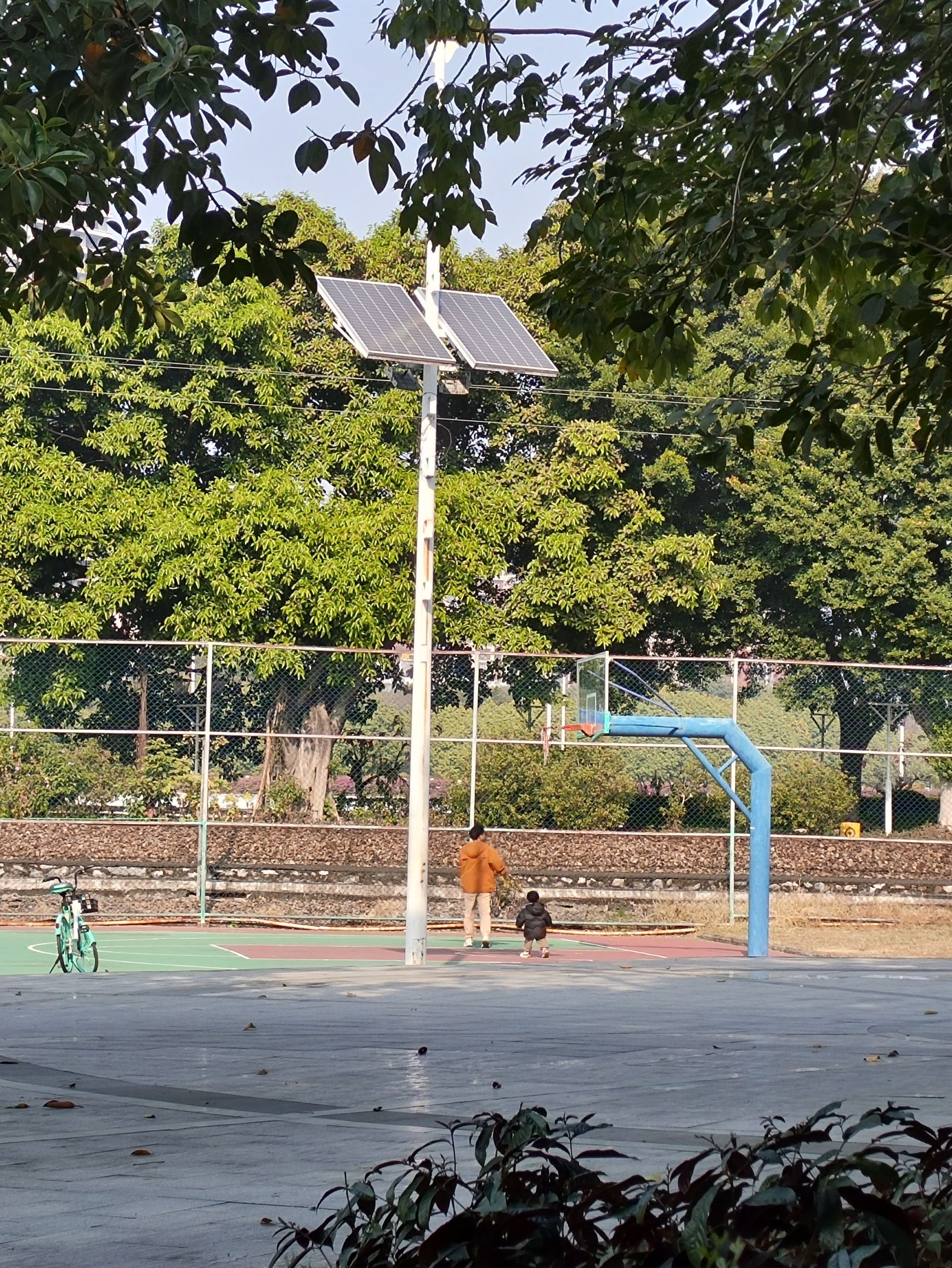 沙头公园旅行图片 2