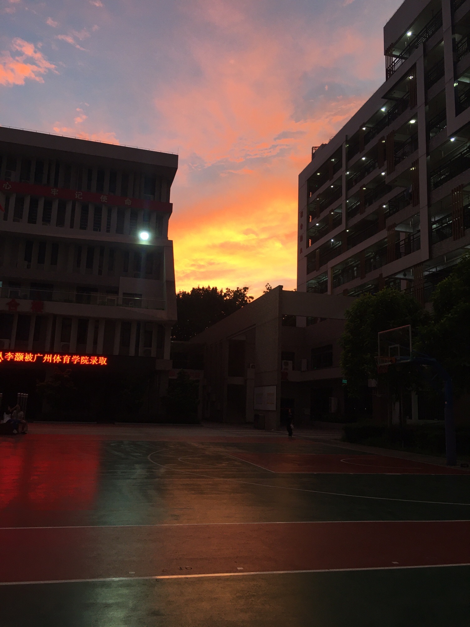 佛山市体育运动学校