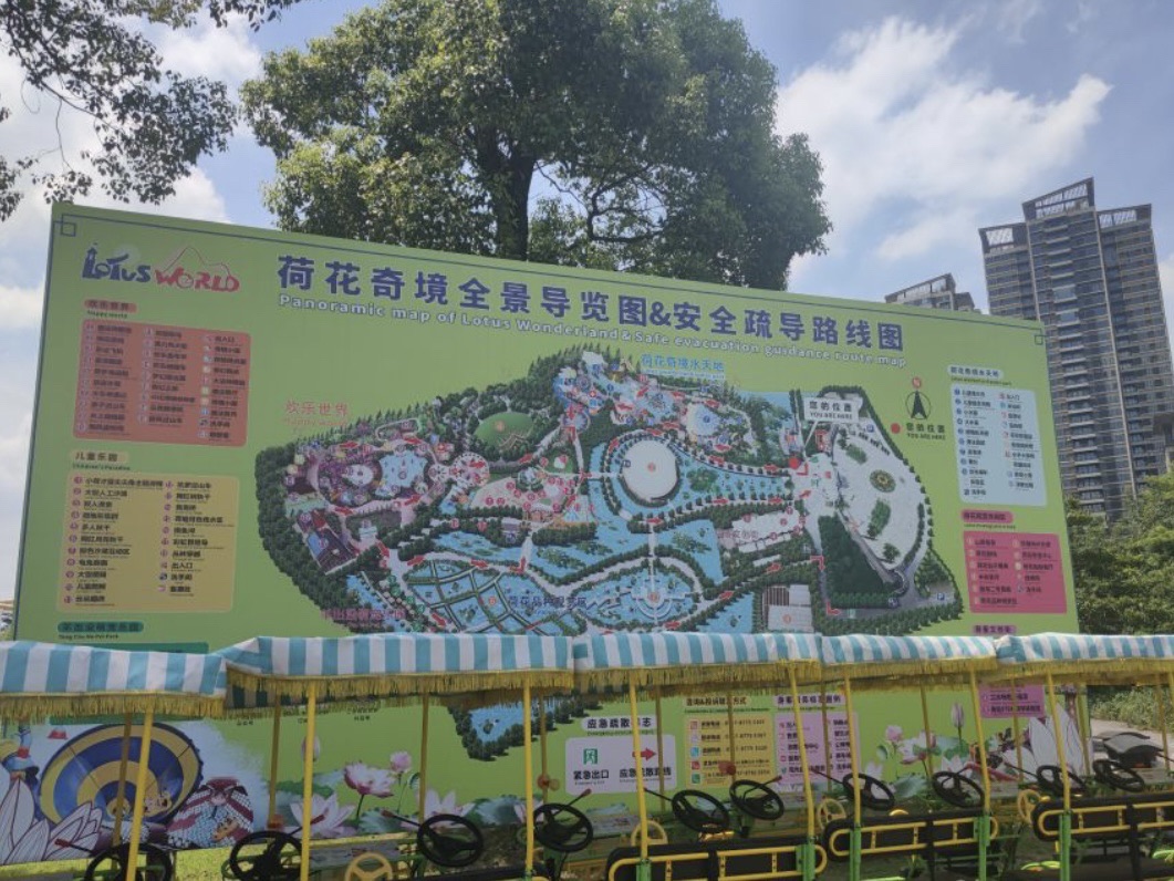 三水荷花世界旅行图片 3