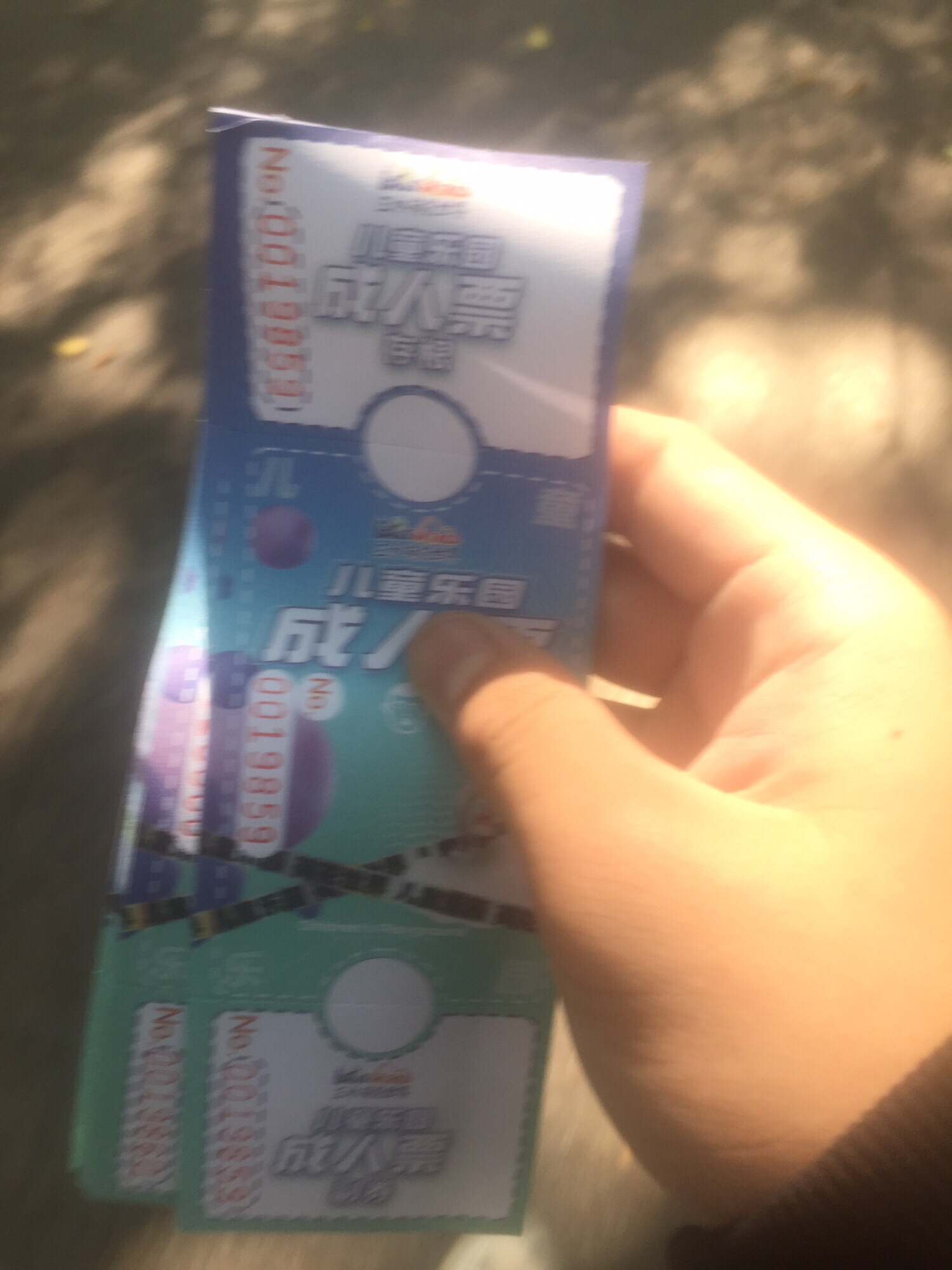 三水荷花世界旅行图片 2