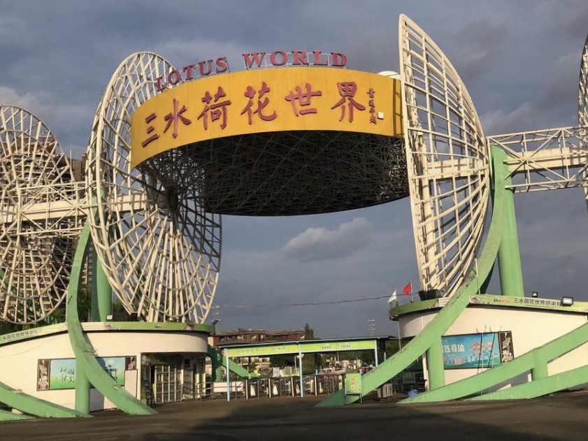 三水荷花世界旅行图片 1