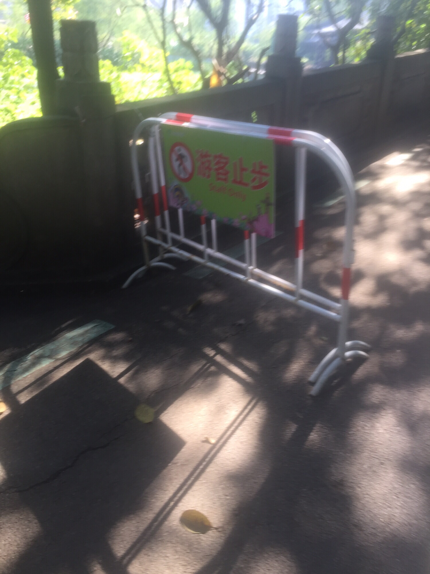 三水荷花世界旅行图片 3